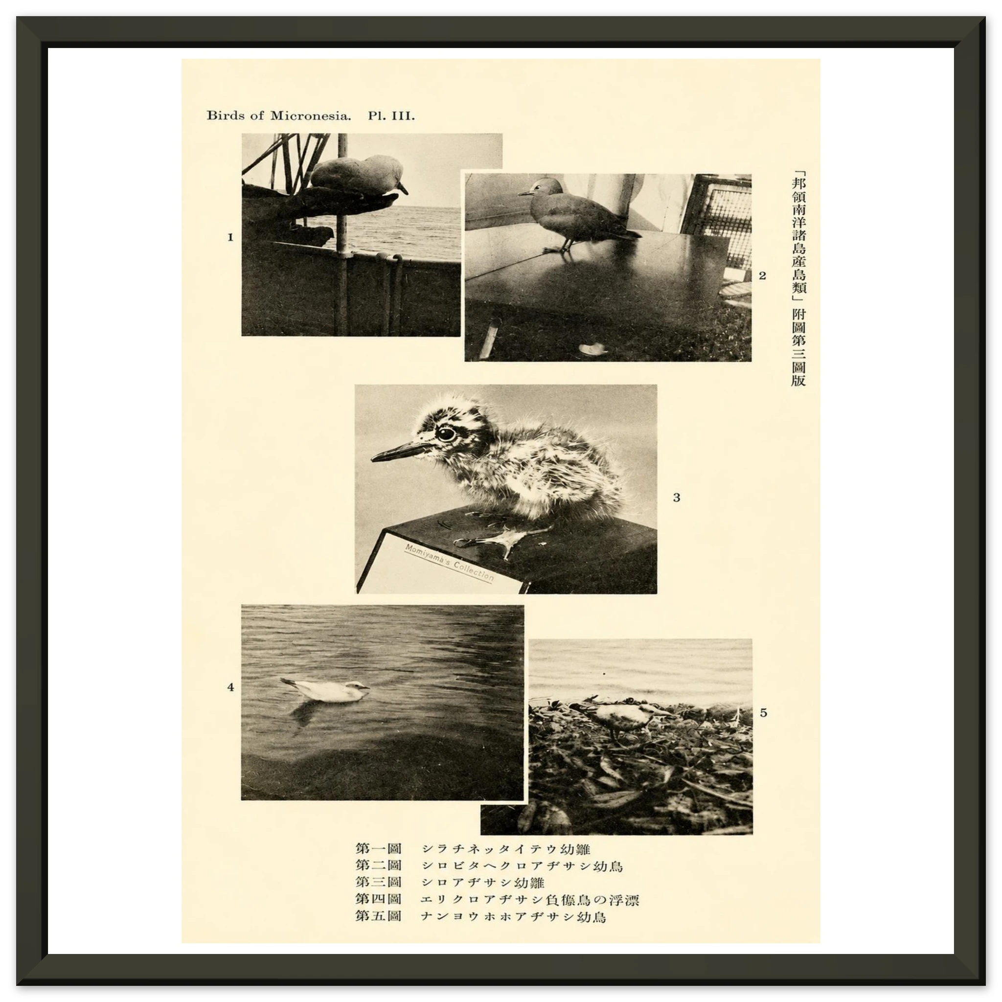 a661dc23-c777-4e6f-8b7e-d43c77c29078