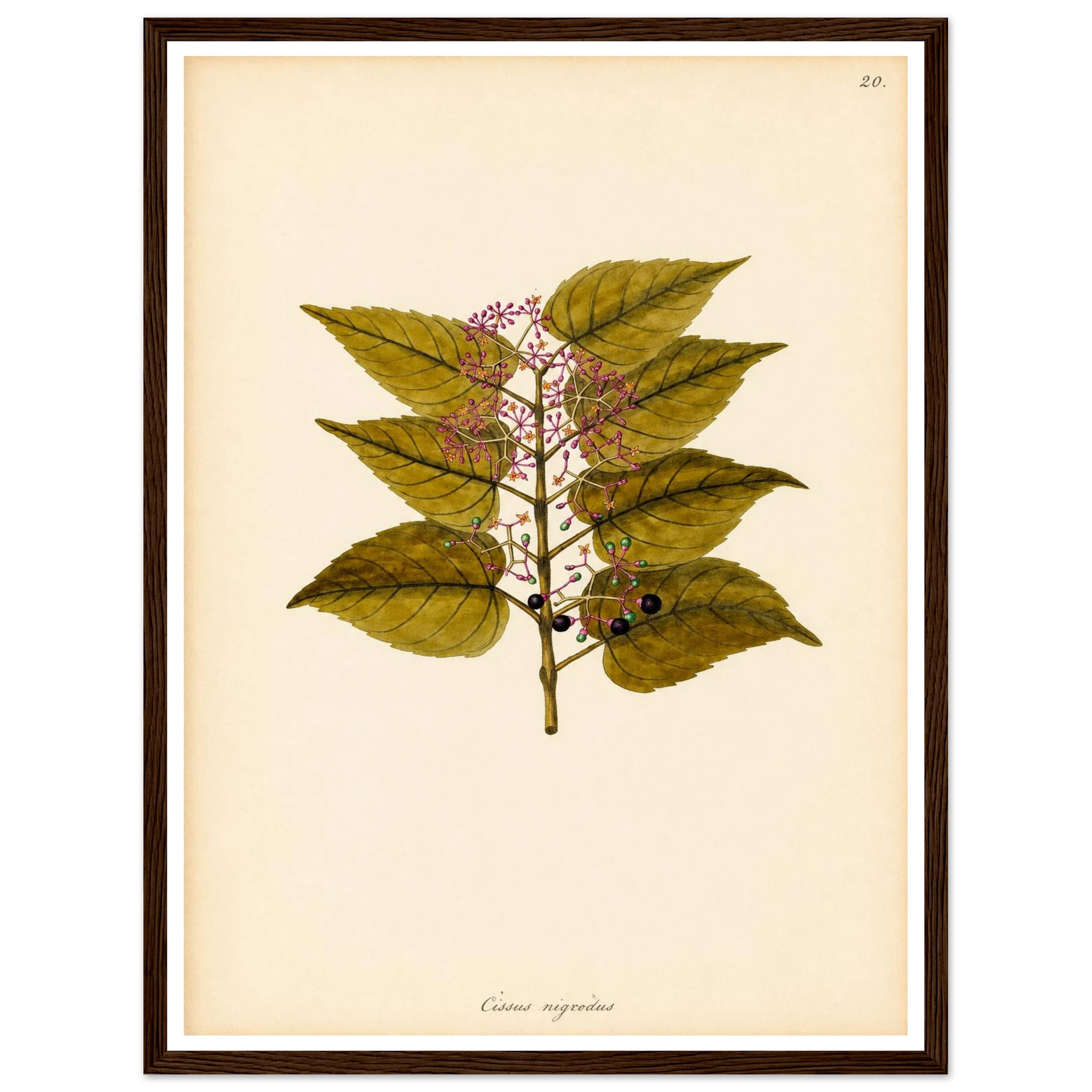 a66b5ed9-d7ca-4bee-b32e-0825221c76a3