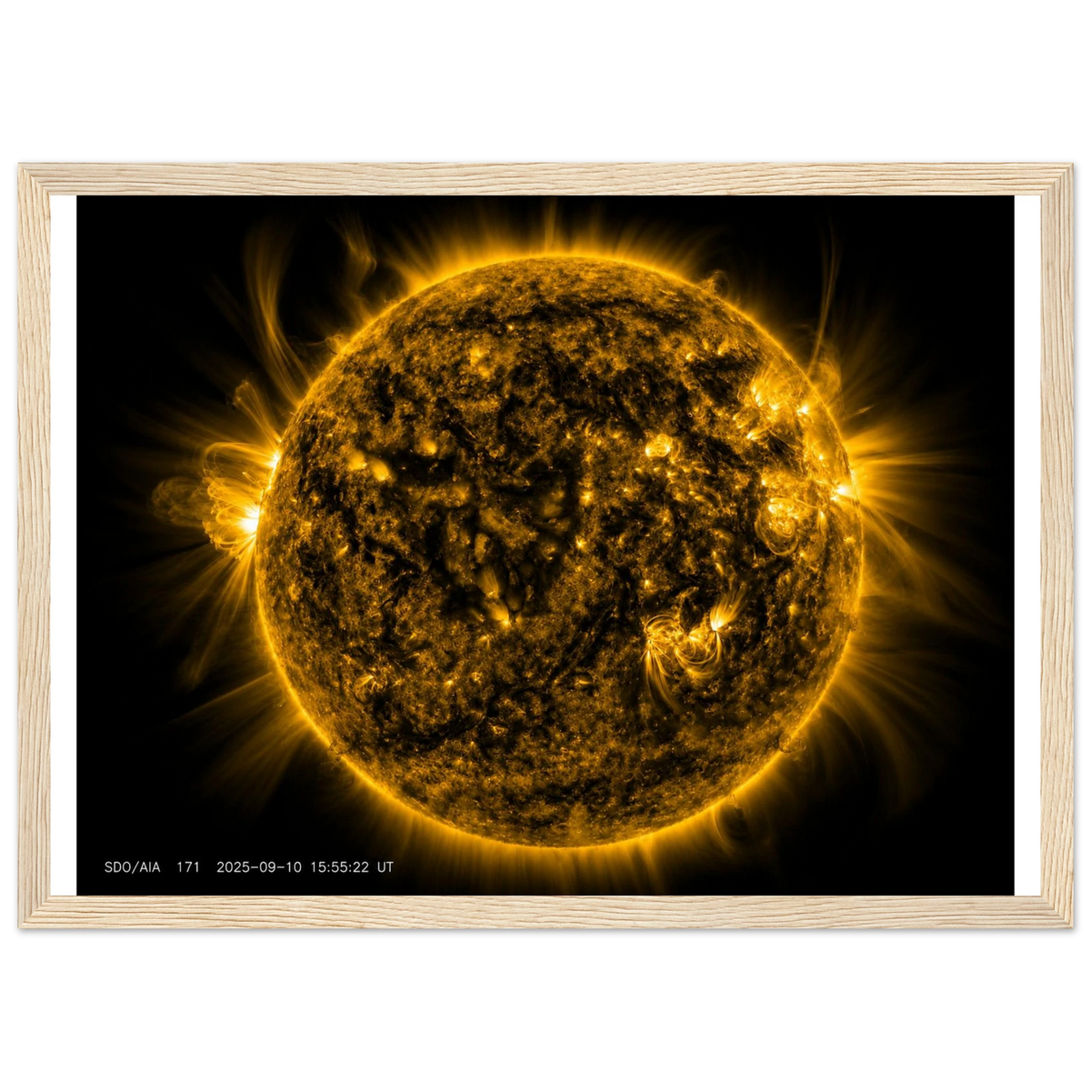 a6f458cd-7c6b-4936-b152-6c69d035c815