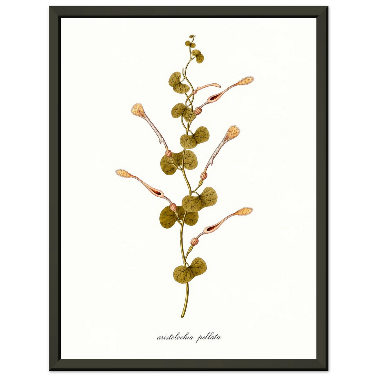a70cd070-03ba-4cad-9903-b5e86a11c005