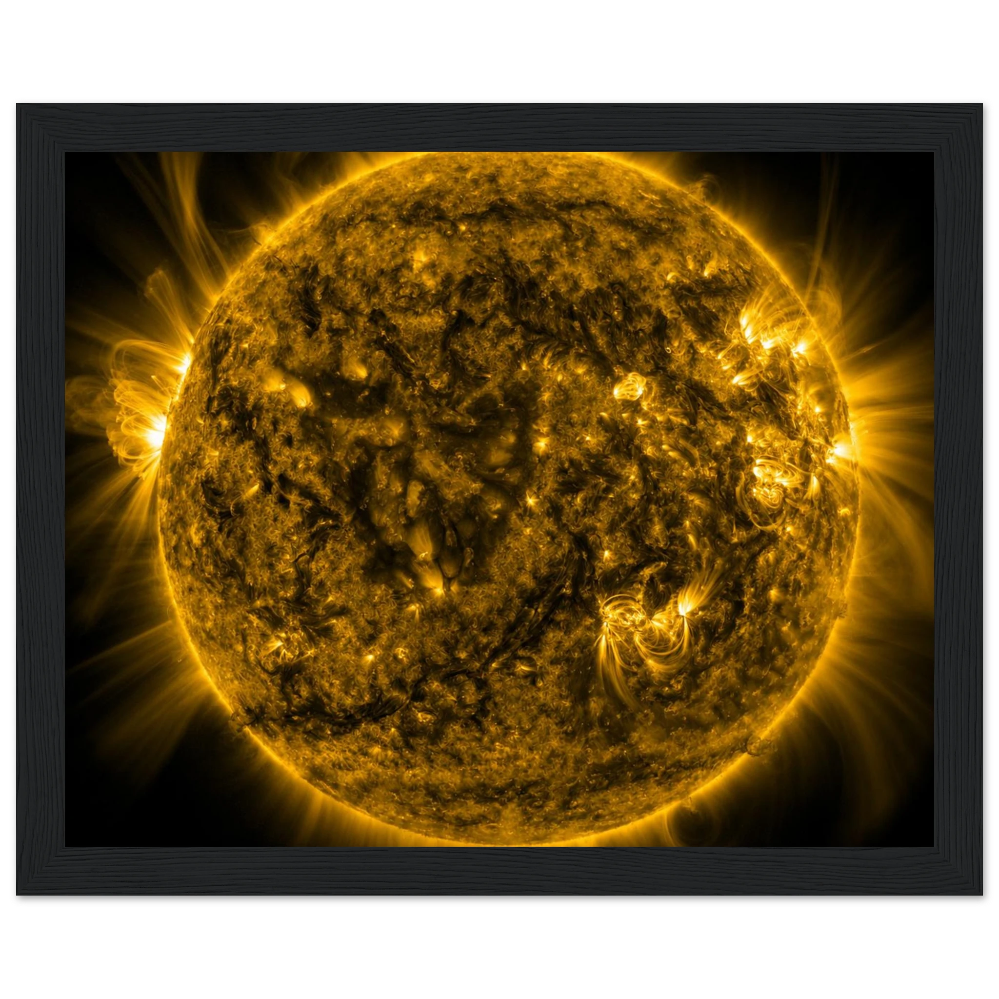 a71a75ff-621c-4c35-9028-111098a2abe9