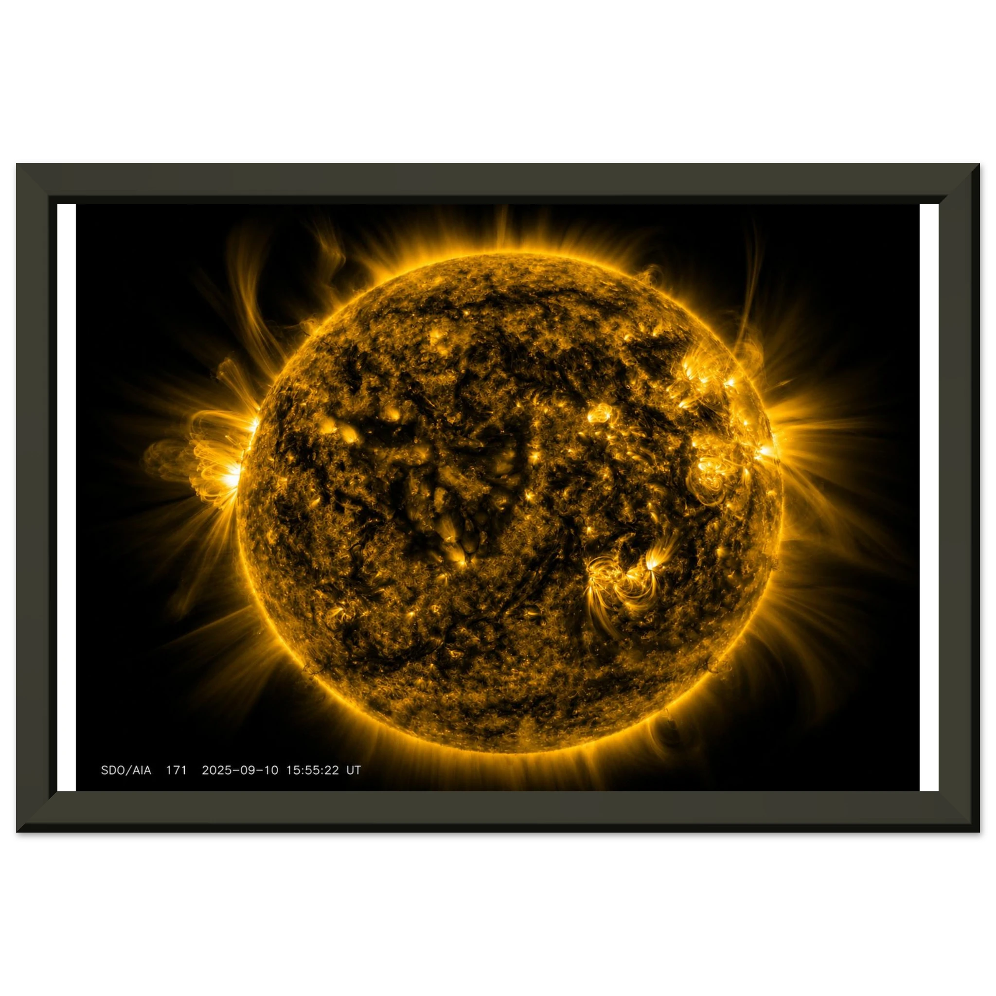 a745eafa-708a-4d33-b5df-a3050736f0be