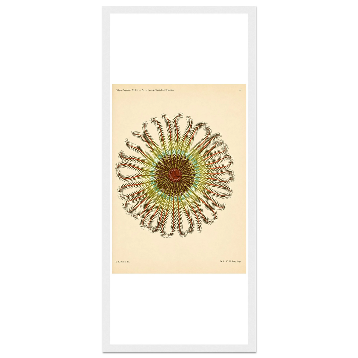 a749d51b-f0e8-472c-9729-546adf80f7fe