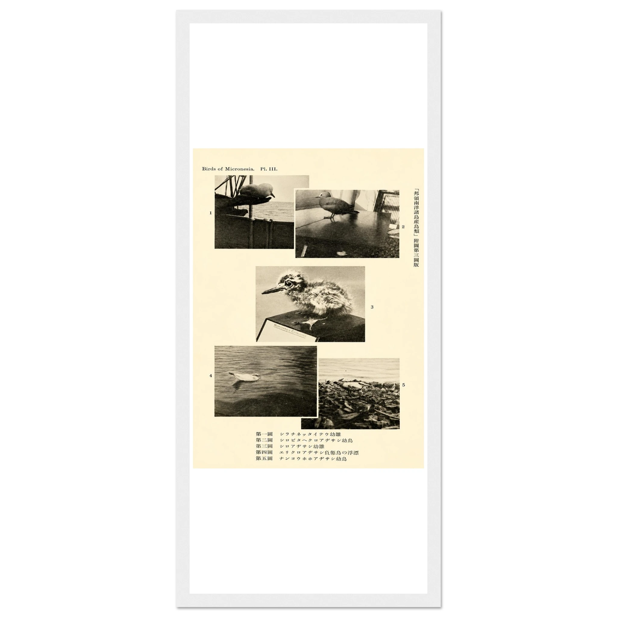 a768245a-0746-4bce-abbc-5ddc18d3c196