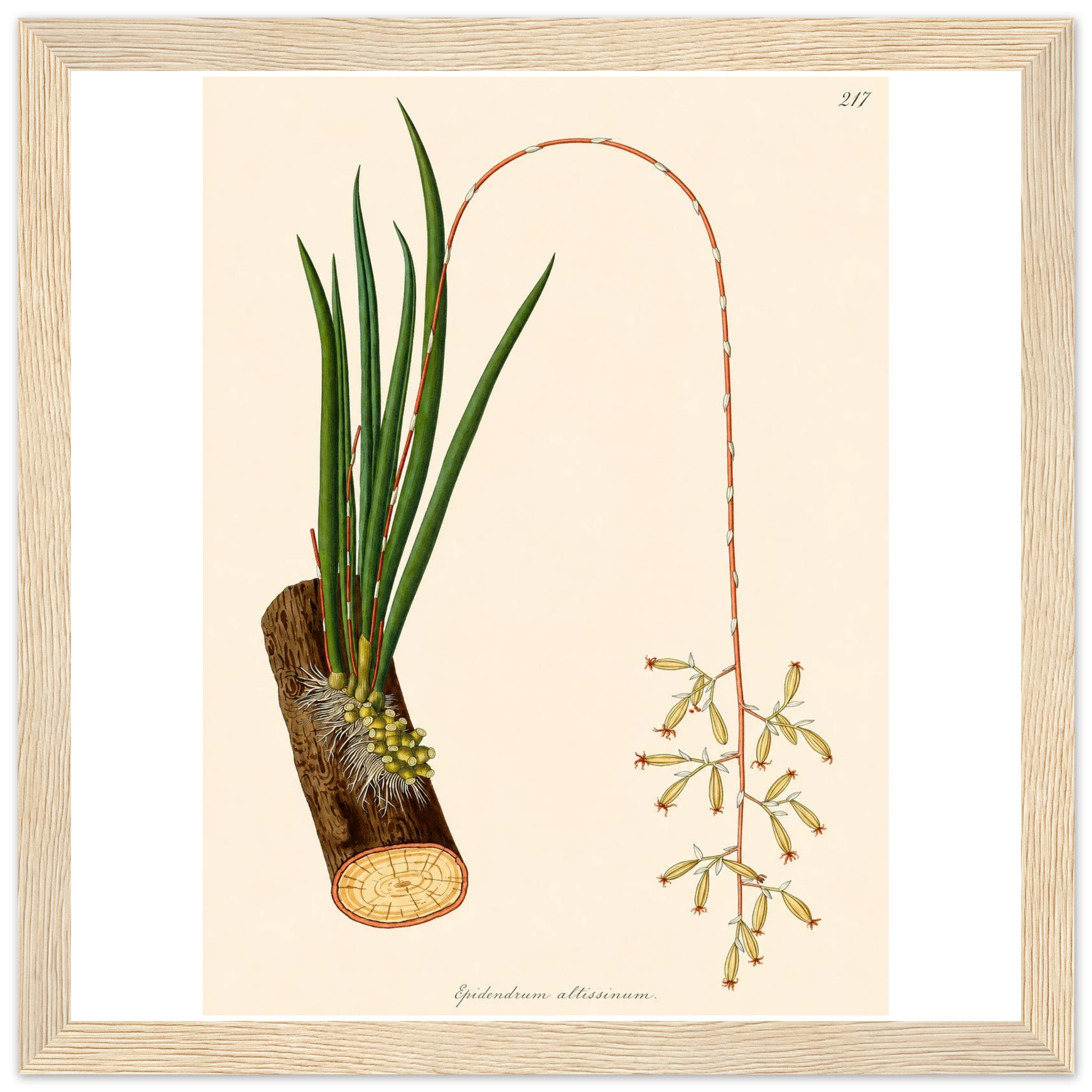 a7f7f20a-eb6f-4db5-bf1b-93ffcd45dc4a