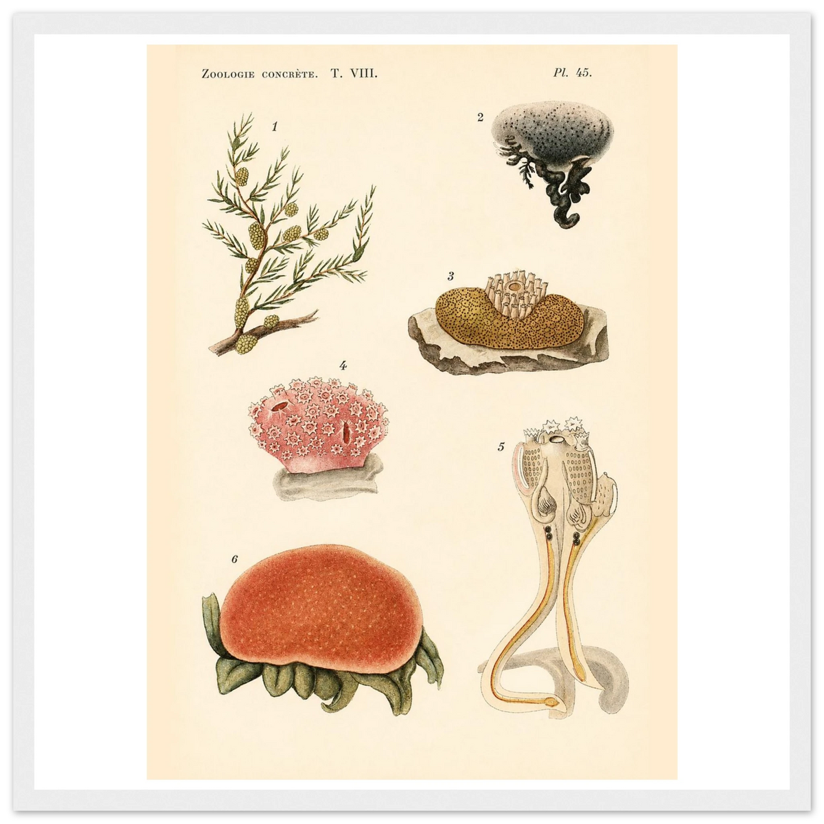 a83e31c5-d6a0-484f-83d0-7bed63fb8a35
