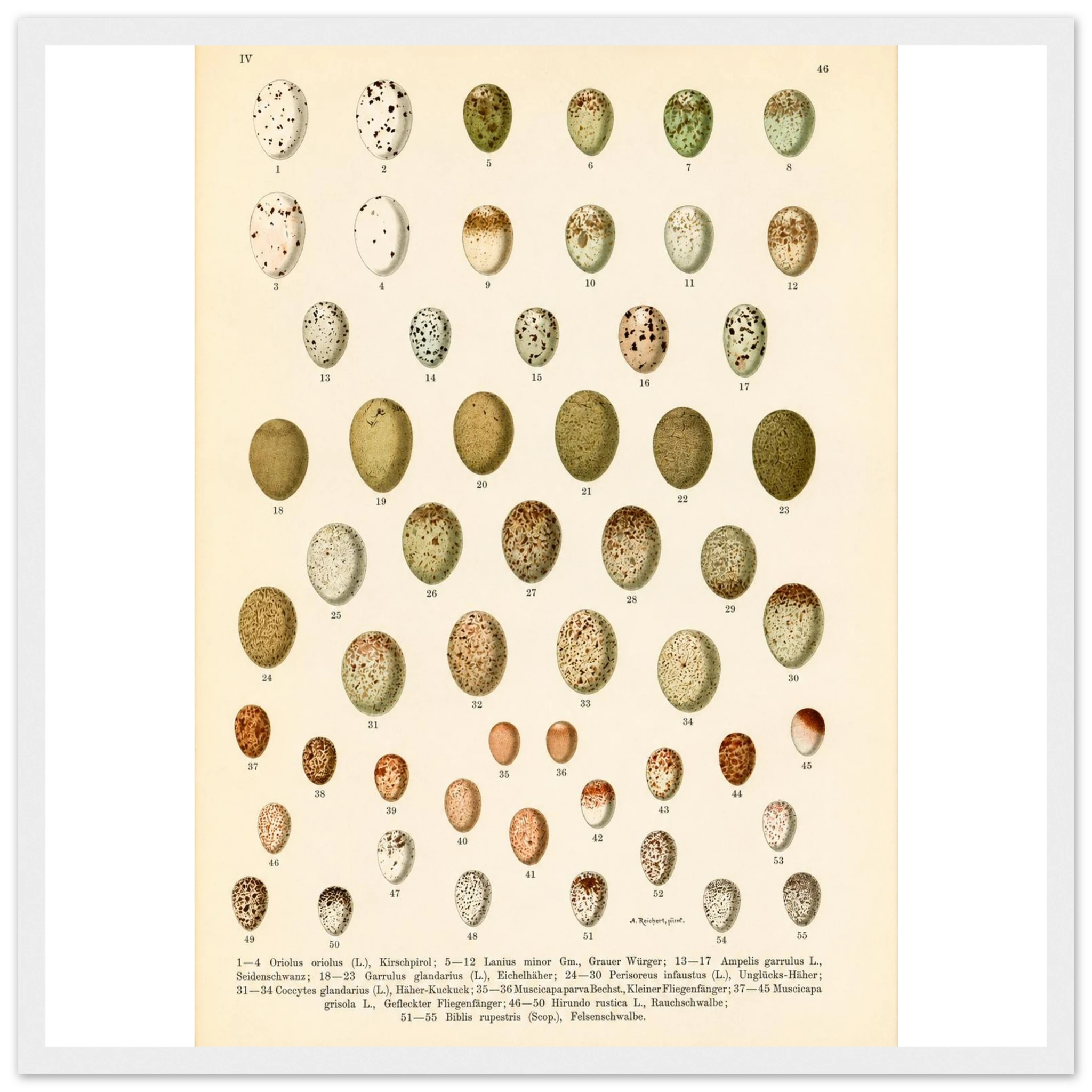 a886f5ee-d708-49d7-9776-4e9321045319