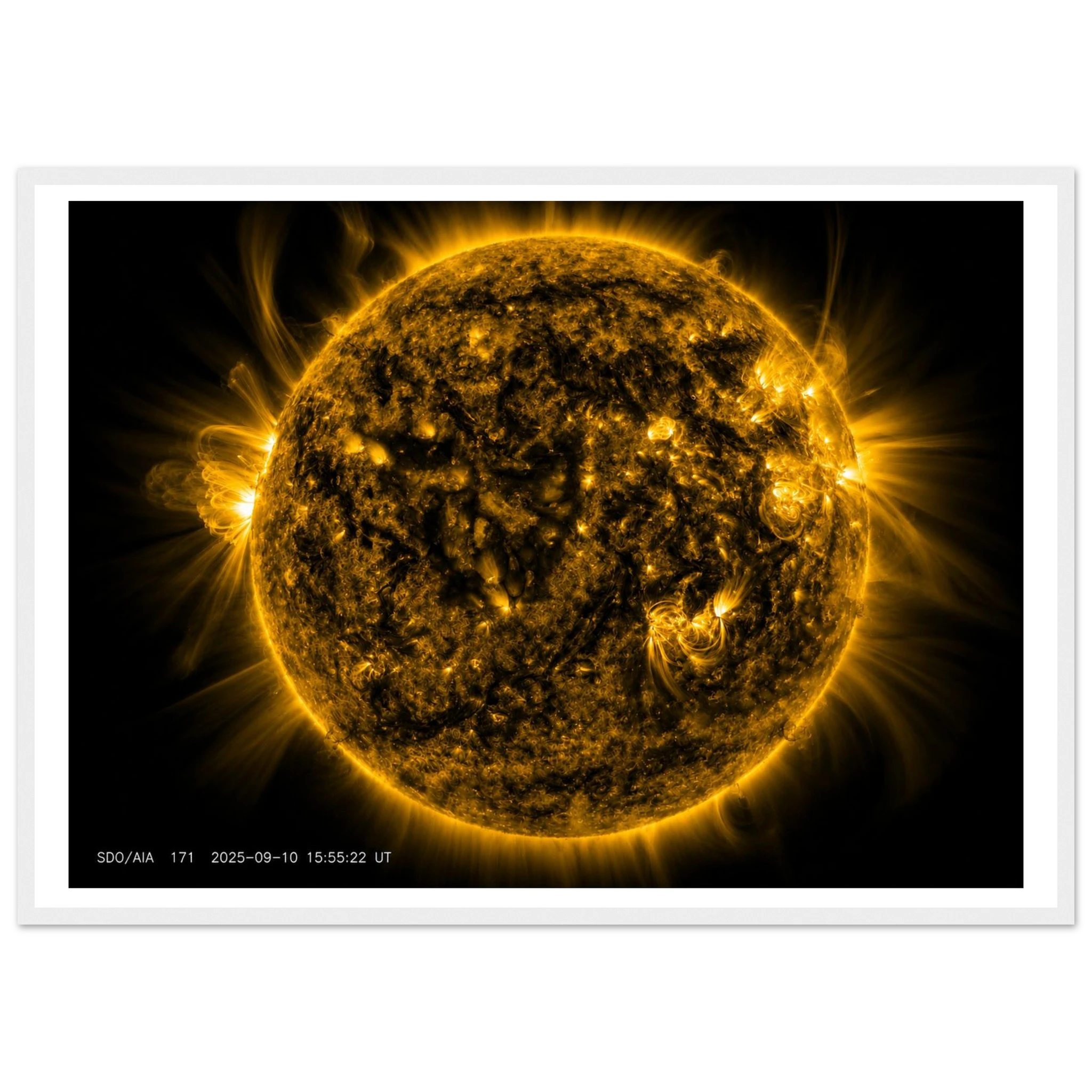 a8881e12-6b48-40c6-a6bd-0dcfb0a86795