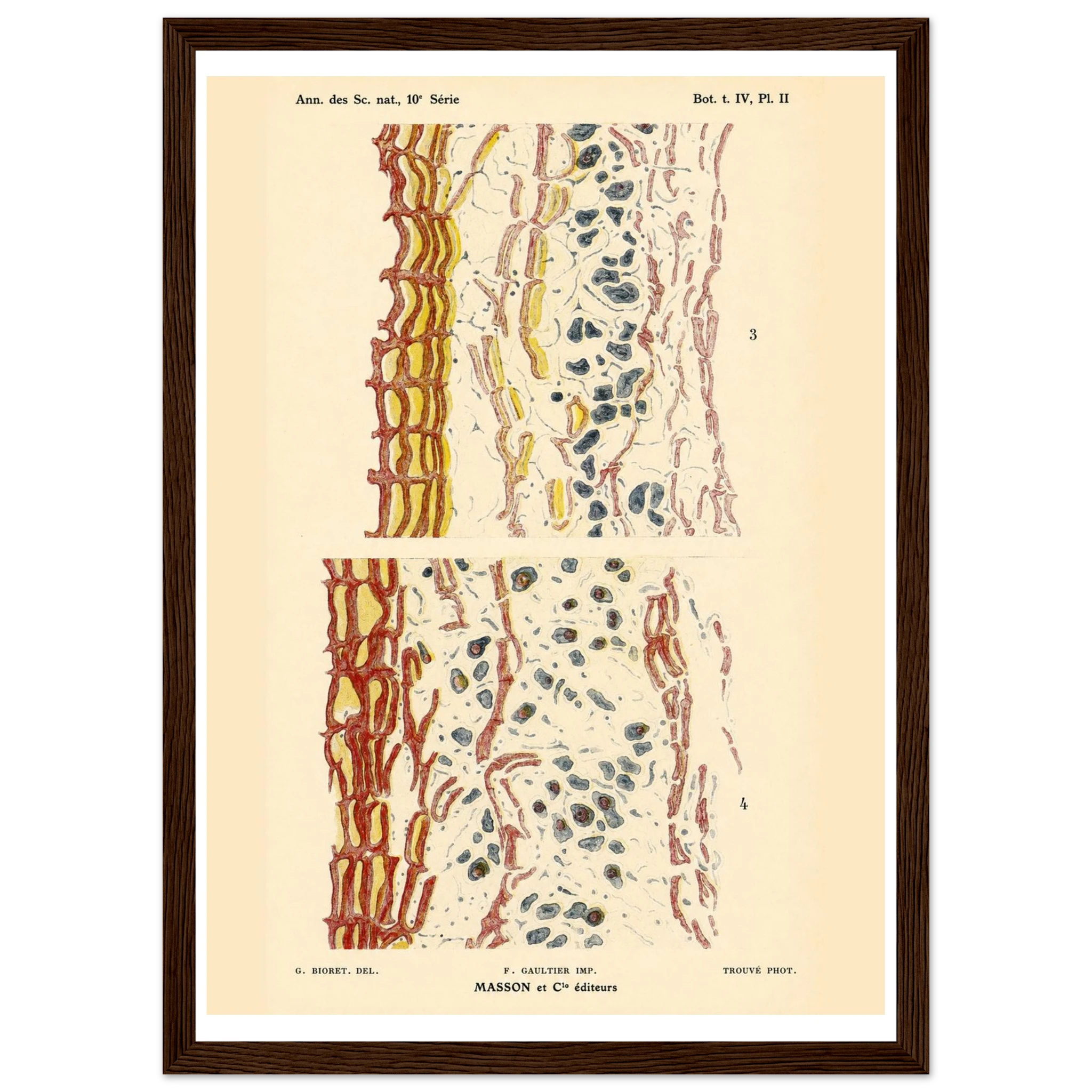 a8be7e84-3c05-4cb3-8859-cd14a5409d14