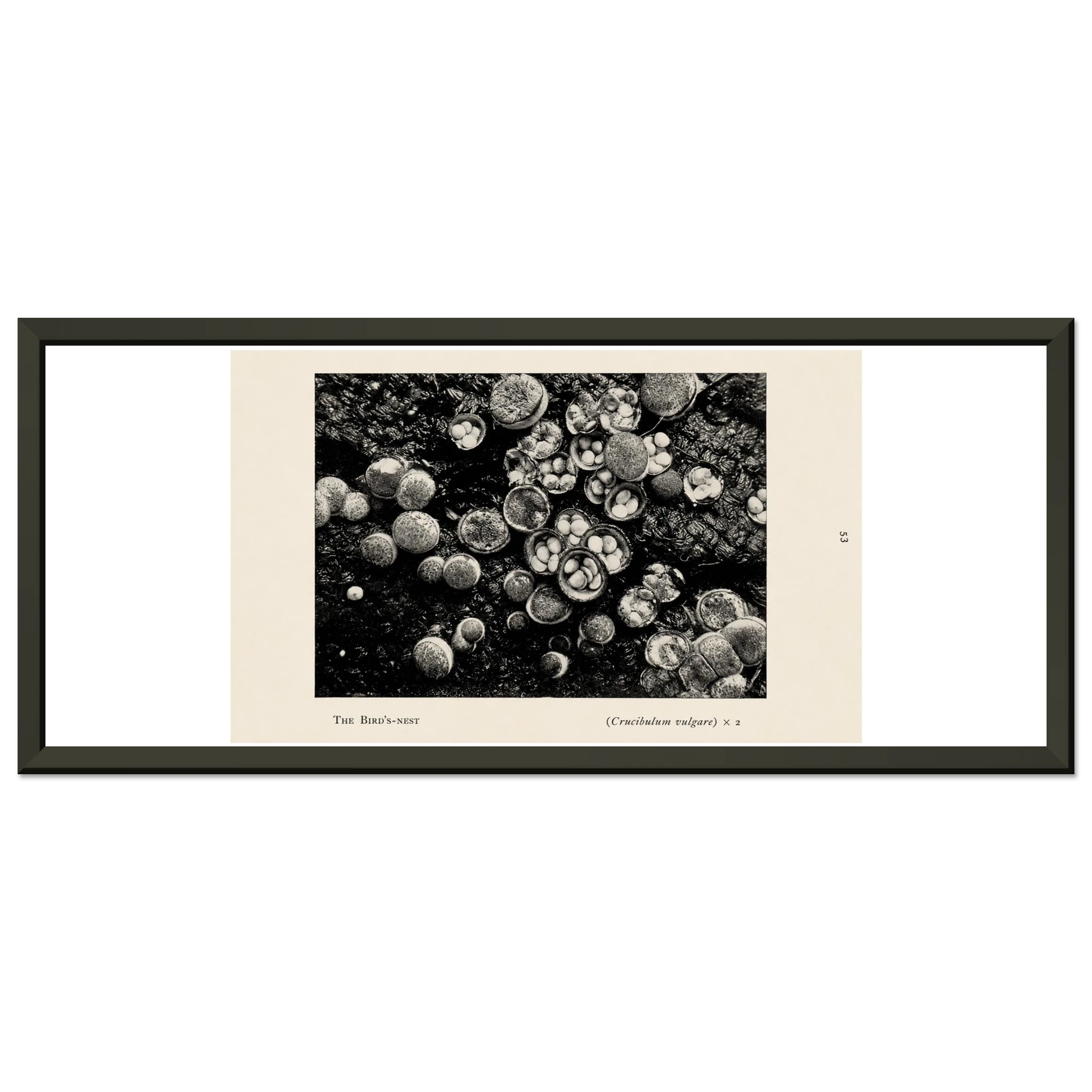a8d34067-290c-427a-a704-b675018e499e