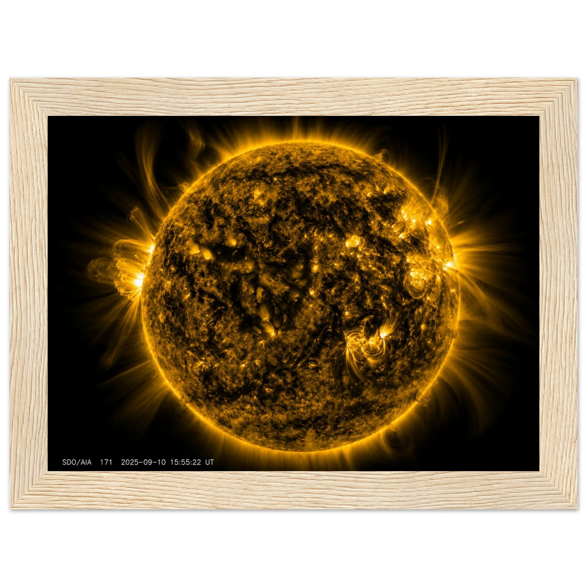 a8e7ab8c-02c8-4069-a054-3e61e9018238
