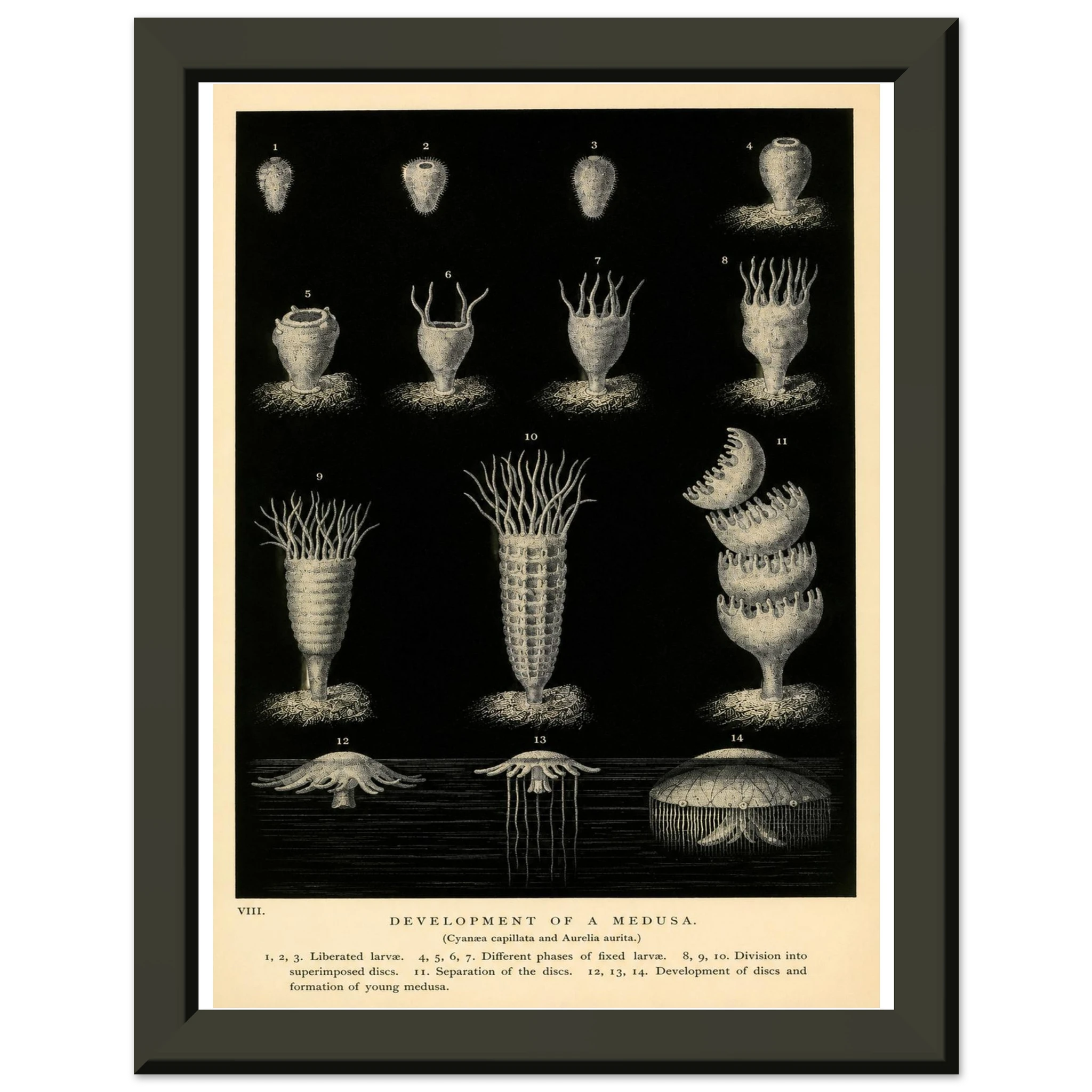 a8fa4f72-1472-4a7d-ac0f-8621873bf79a