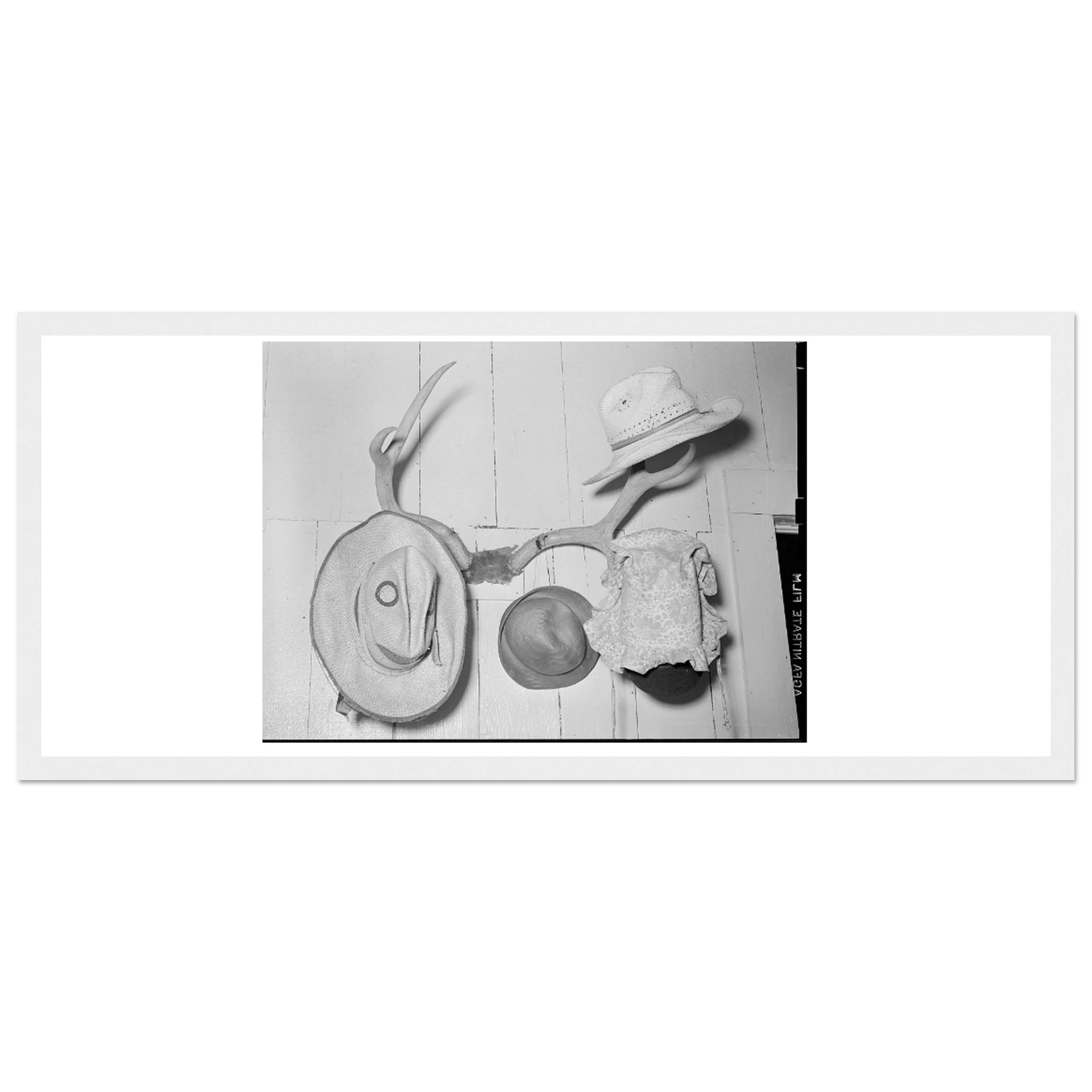 a959cfd0-070d-4286-ad0c-96548de46f58