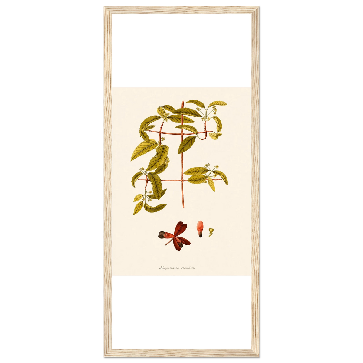 a95f28ef-1a44-4ce6-bf50-f08a7069a853