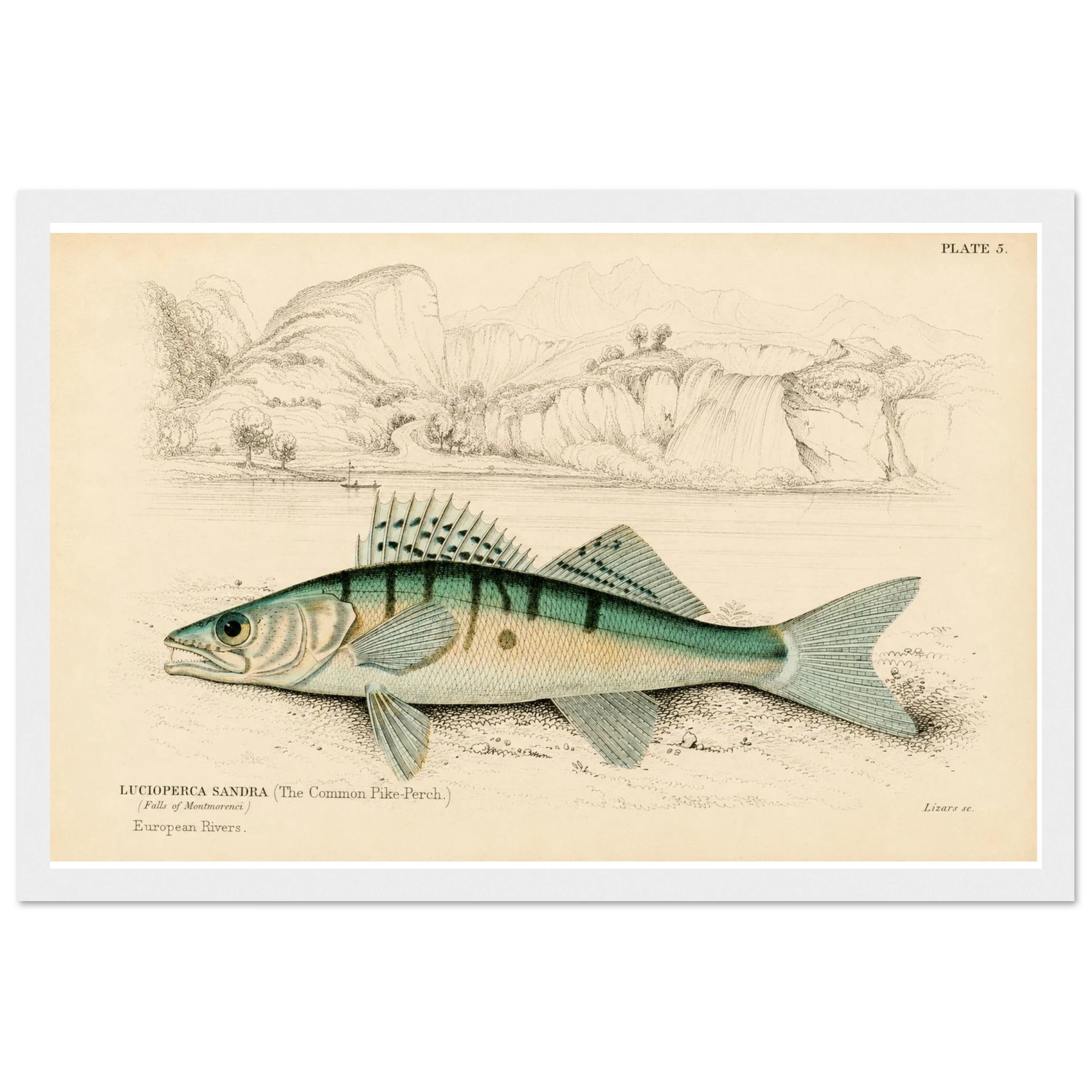 a98eab27-aabc-46b4-8cc9-3e368ced3d3c