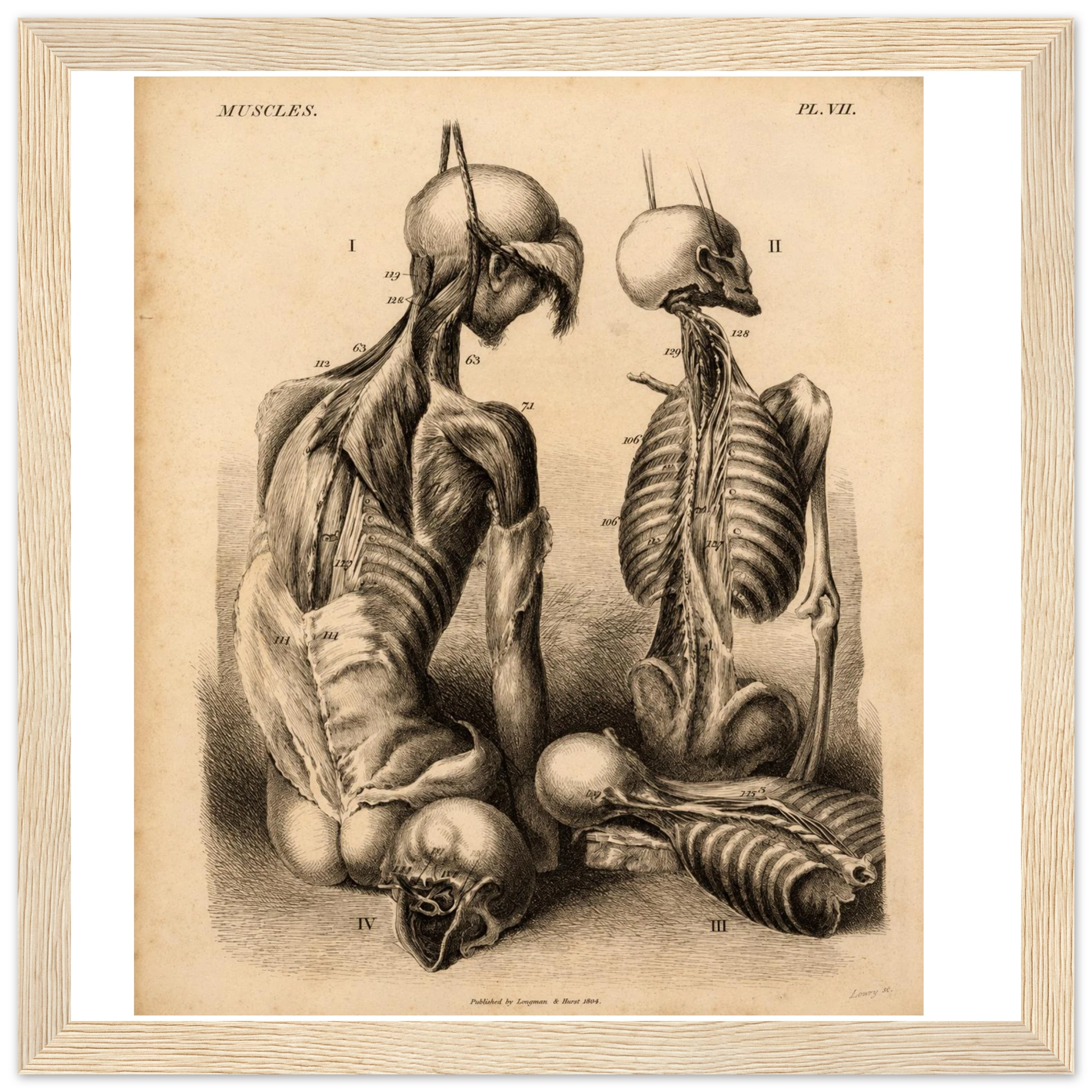 a9b93648-3434-4eaa-a5e3-24c3c5d82c41