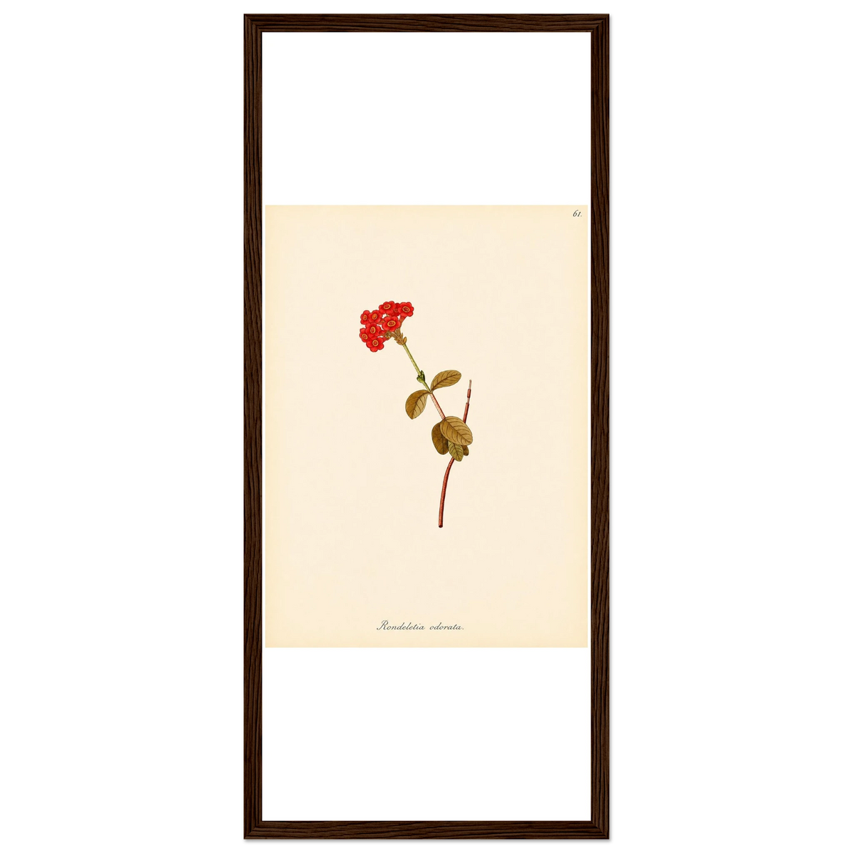 a9ef2c22-8716-4dee-bd12-3b9c59179ea5