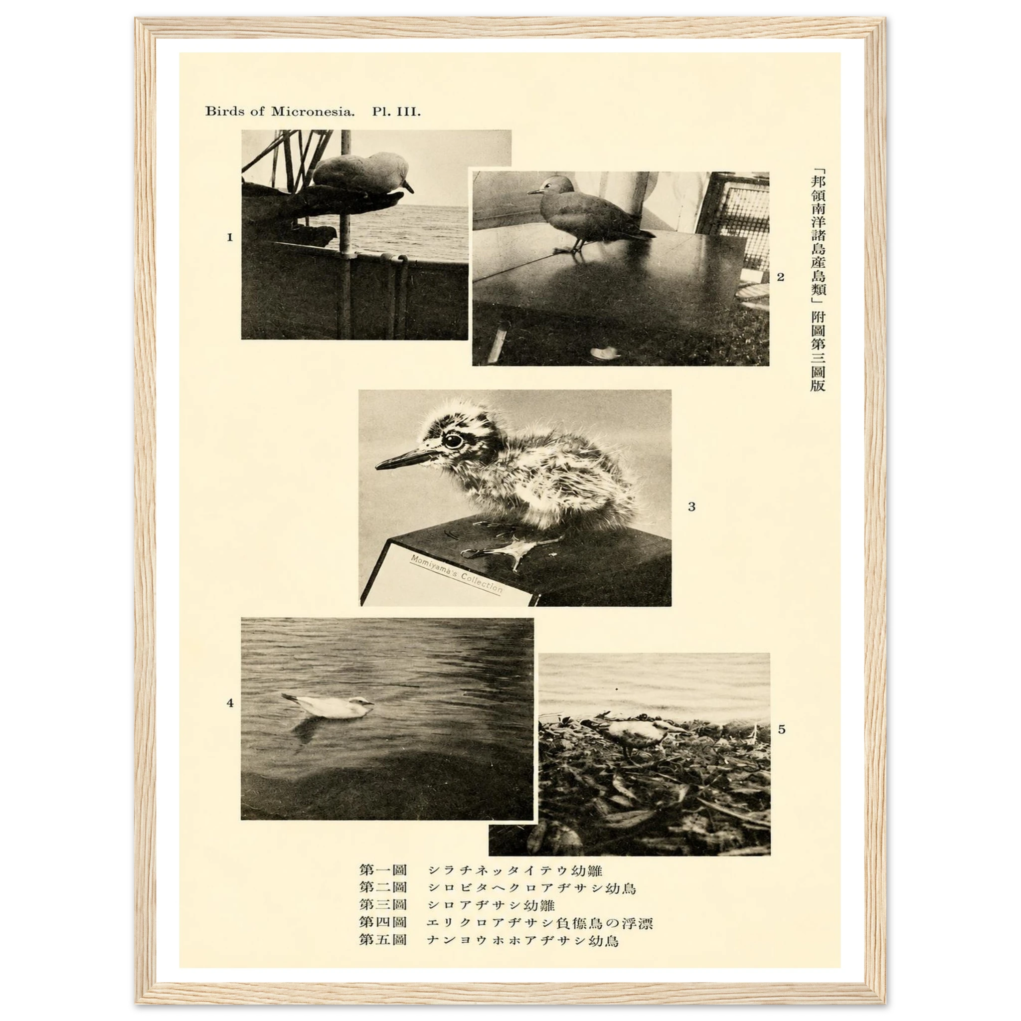 aa06ea82-5a9c-42c7-9224-11c40243a6fb
