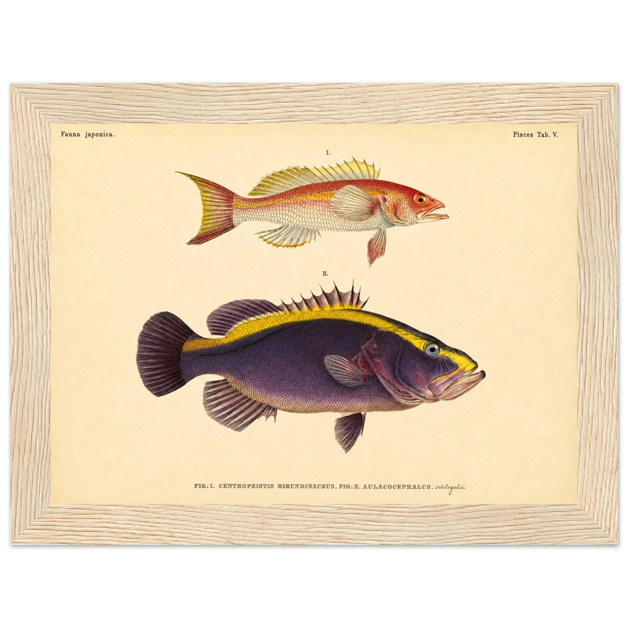 aa4c676e-faeb-4bf8-aa53-386e0bc38cd8