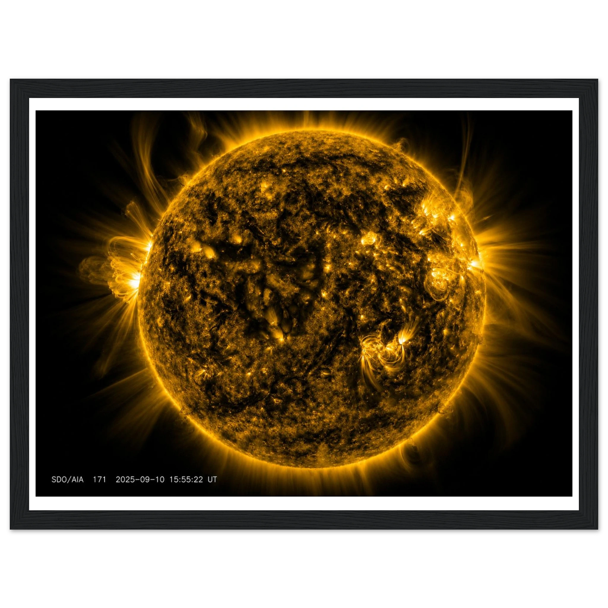 ab083ccd-187f-48ff-b7d4-2dde14212653