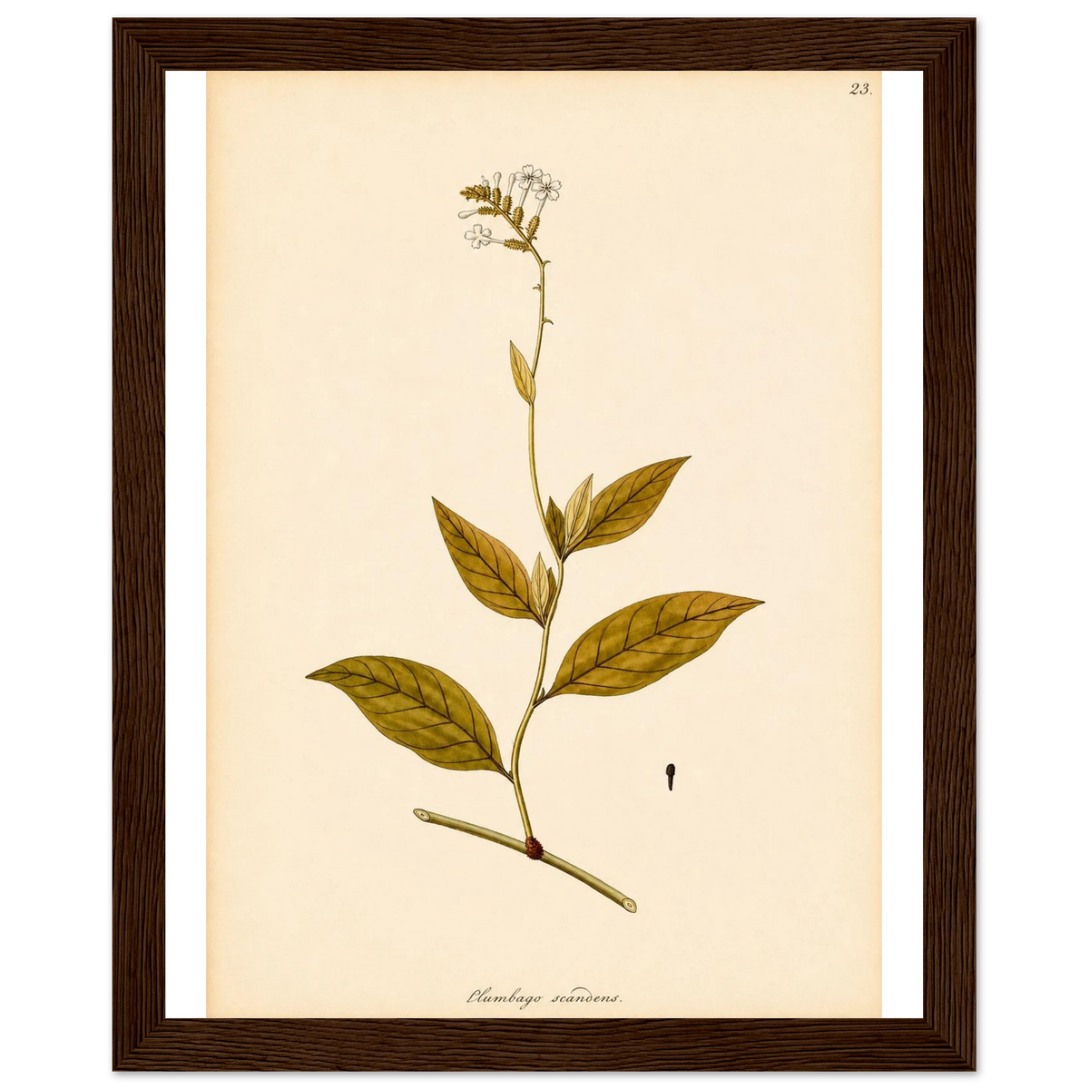 ab1d2712-44bf-4f10-aa50-ba984de8b62b