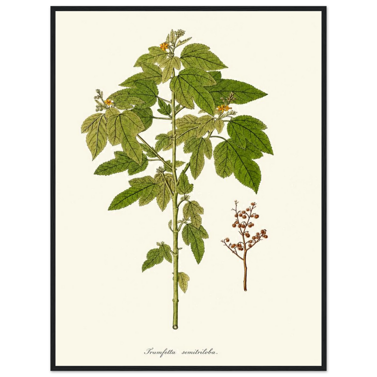 ab5aaf6f-7477-4a1e-abd3-c74f881b3909