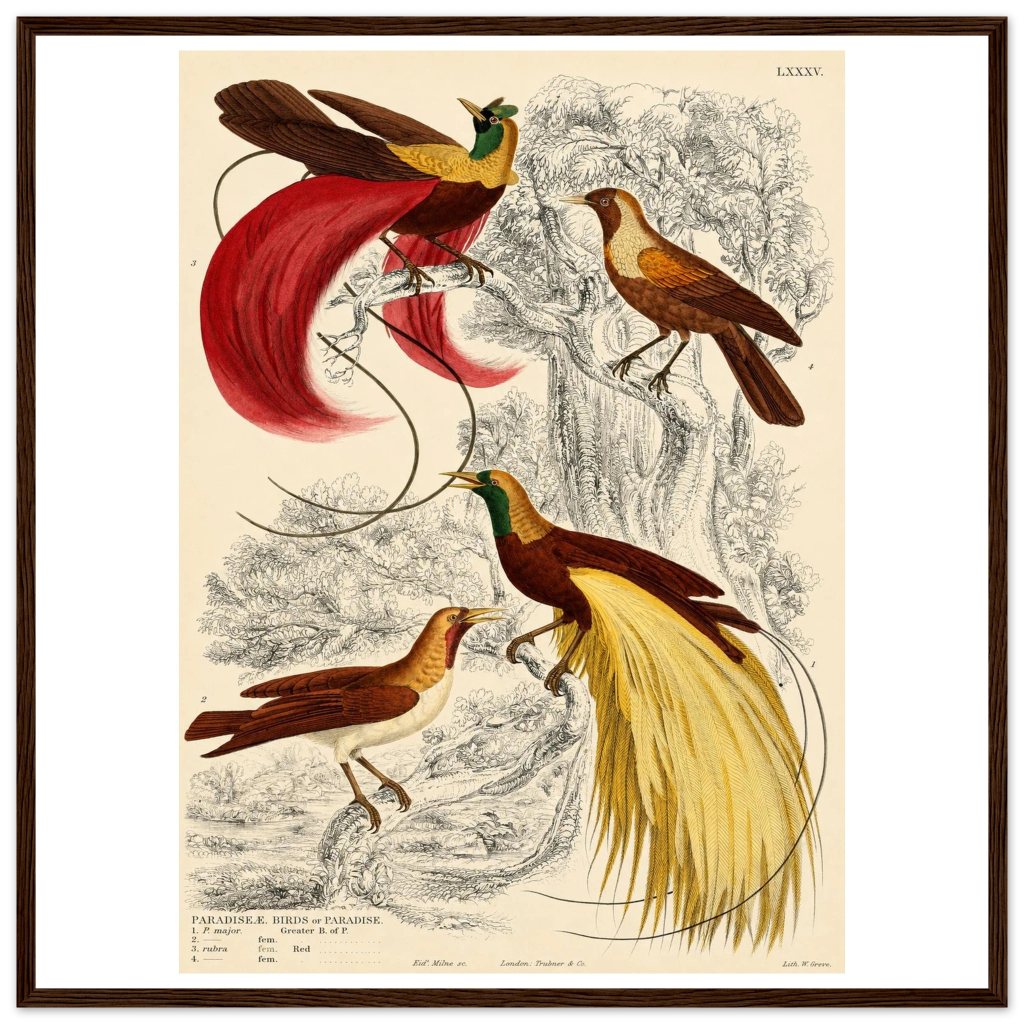 ab6a0c17-1da4-4bbd-bcce-2d76dbbf8936