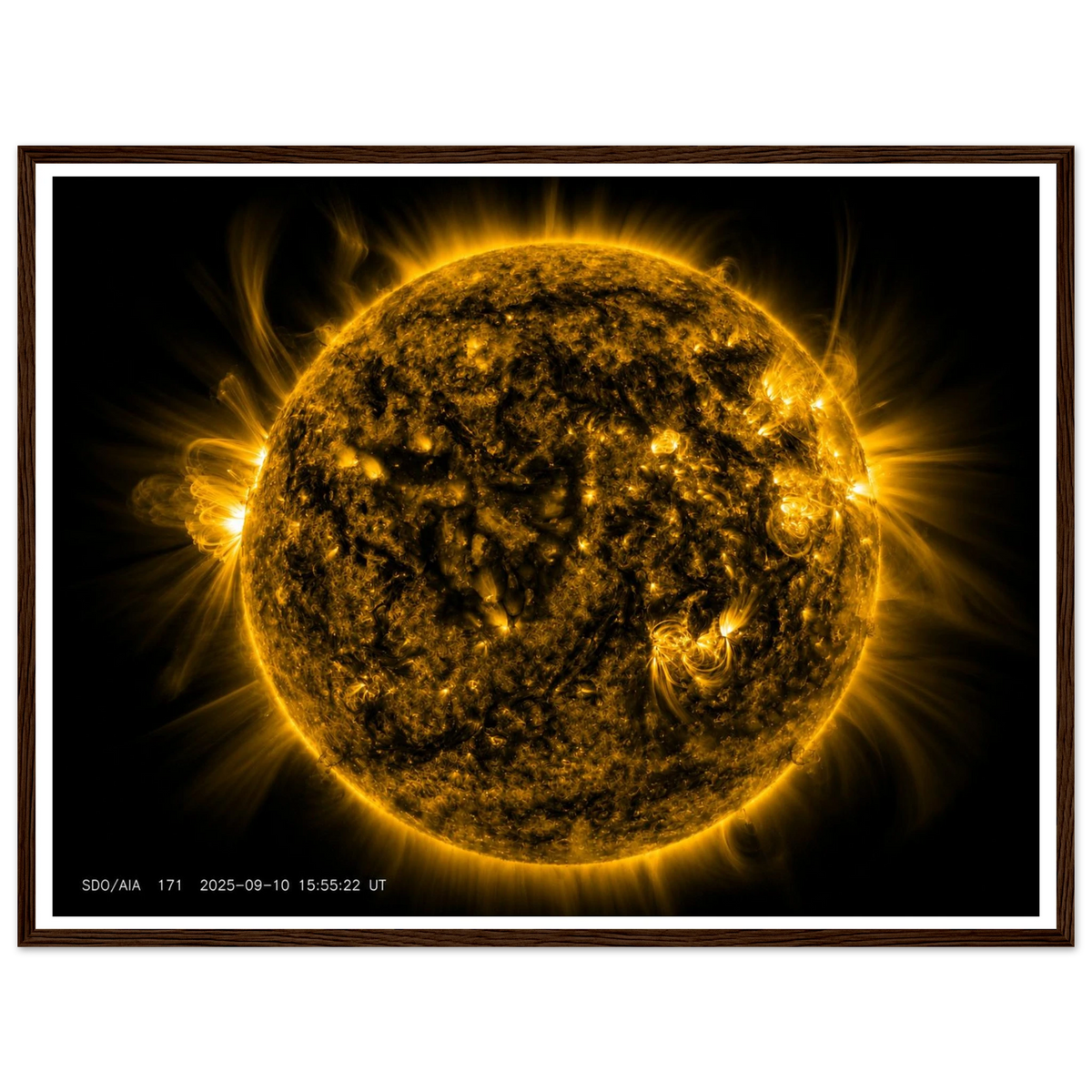 ab78f2fb-e9d4-45a5-b293-595b62735c1f