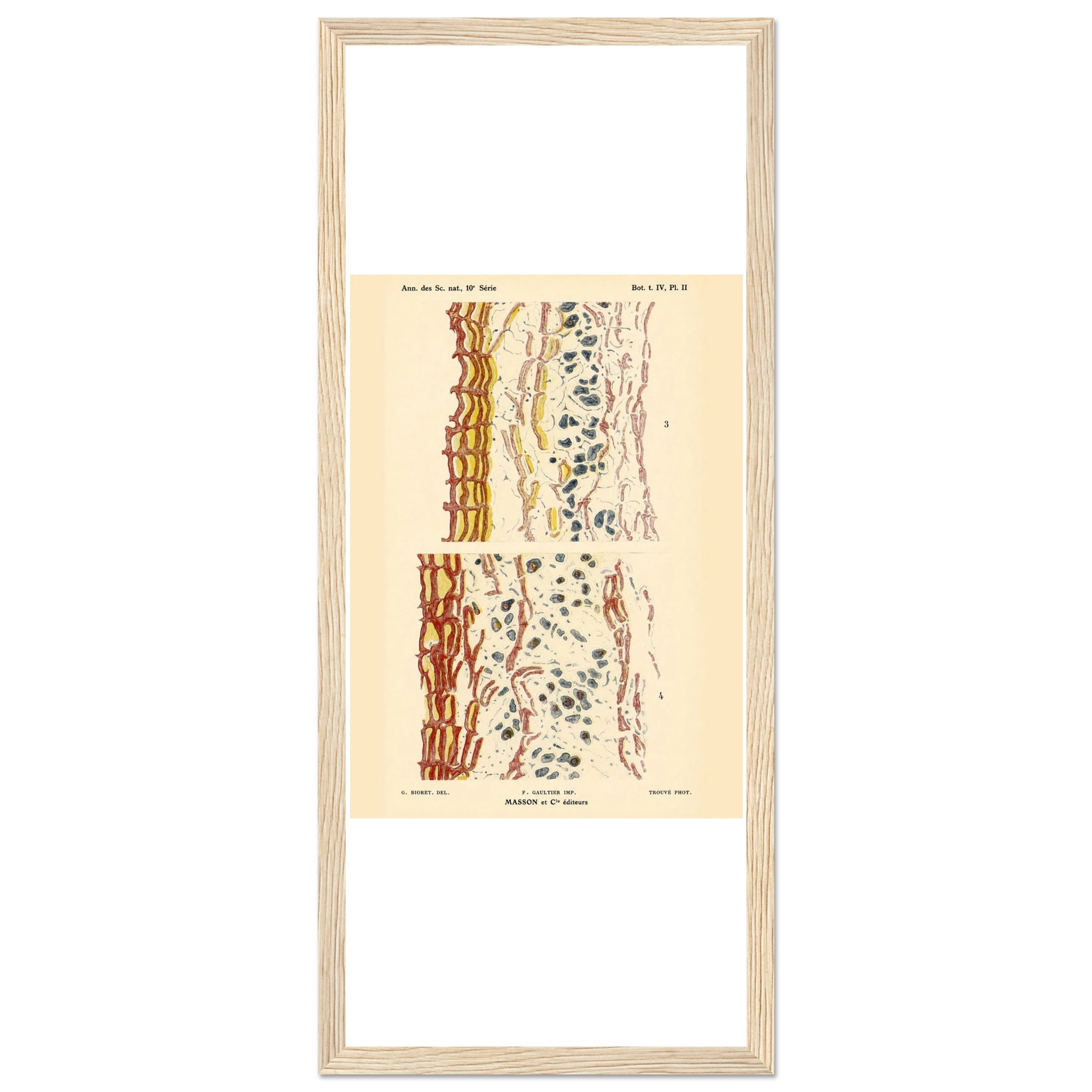 abc2ce54-5c12-4700-9c3b-e82980f8ada7