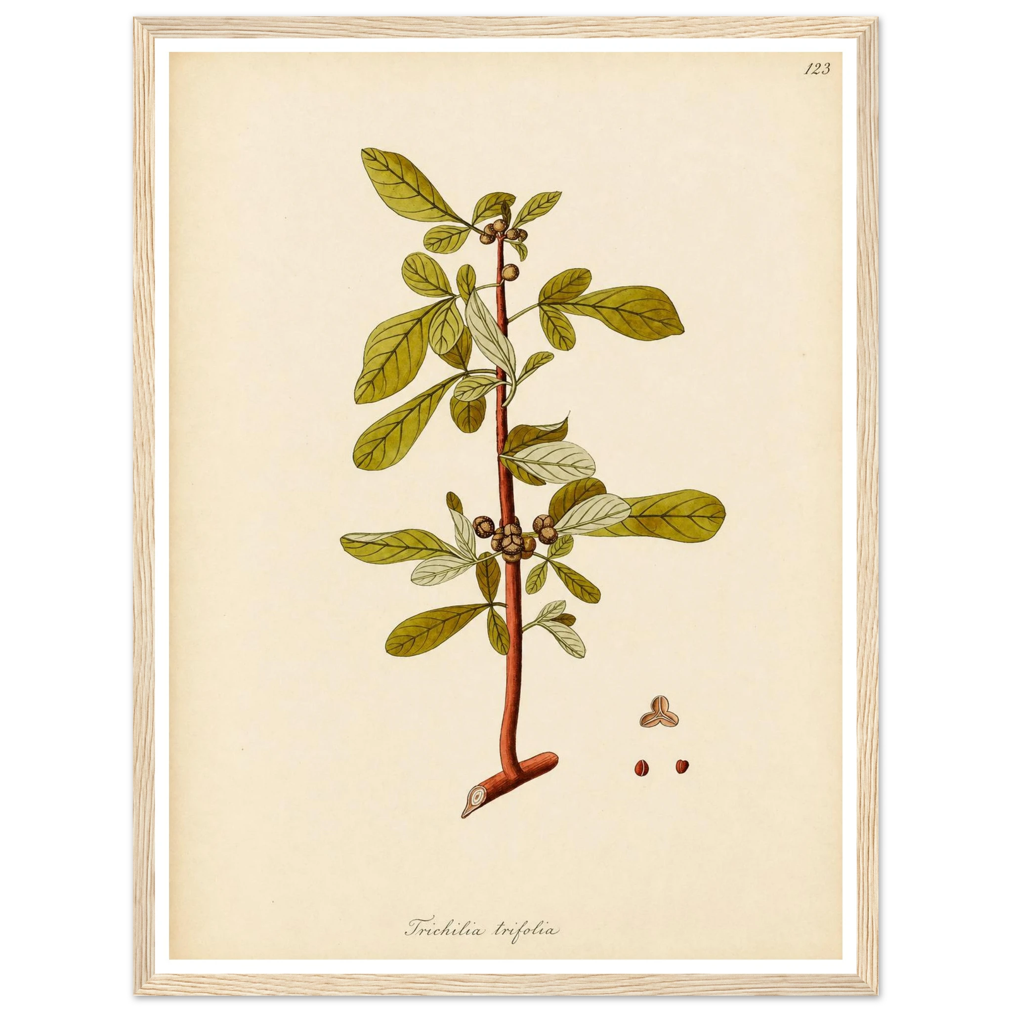 abf09433-ceef-43f9-a880-cb0be7c32336