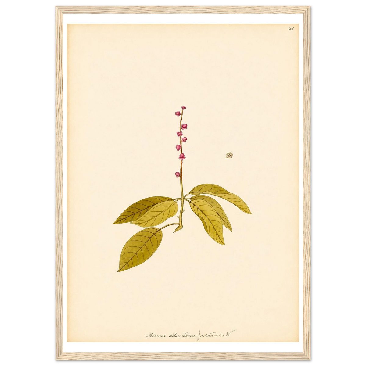 ad1bd4a7-a72b-4c74-81bb-1f6b0d807e73