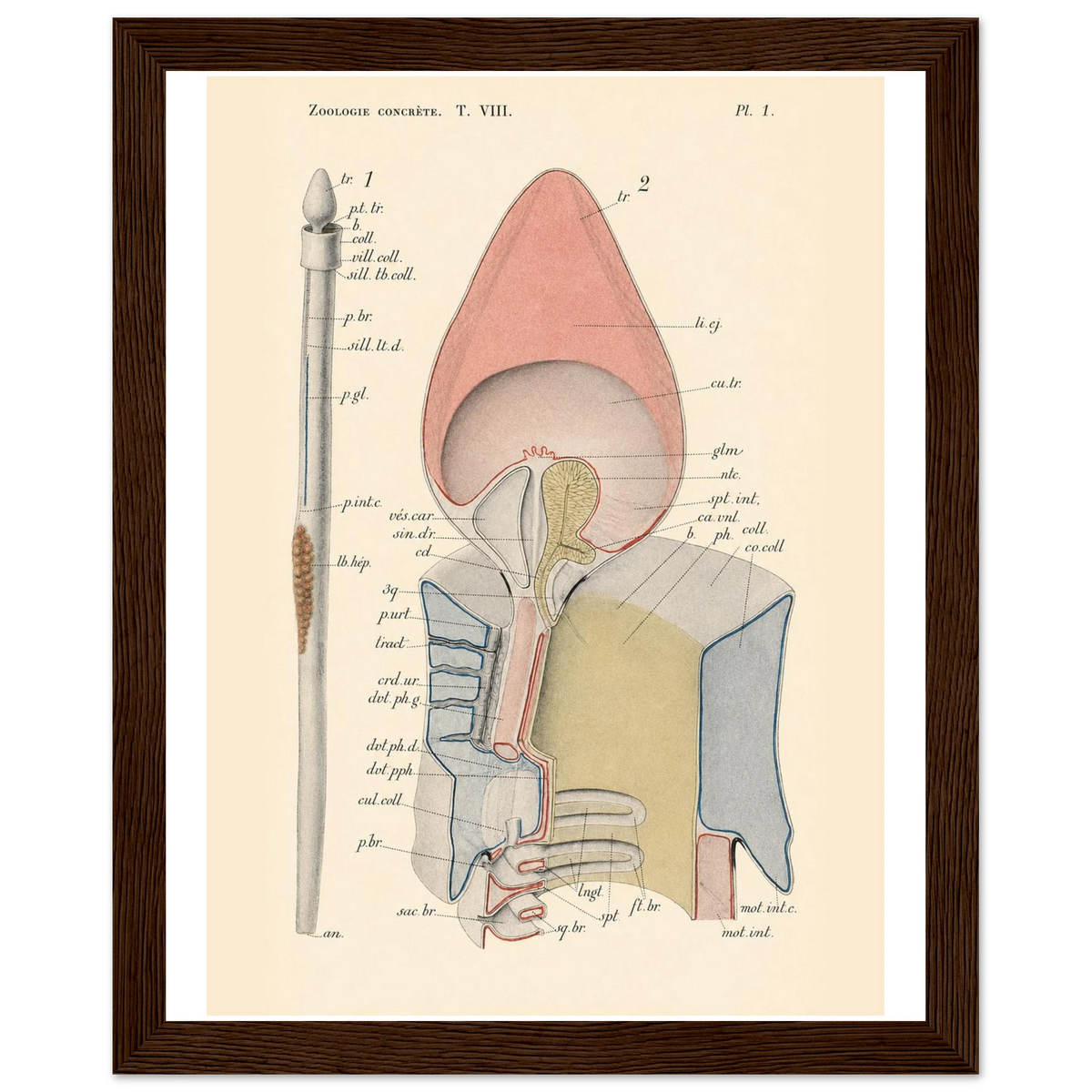 ad22bce3-e714-41e8-8a71-55da5f34a980