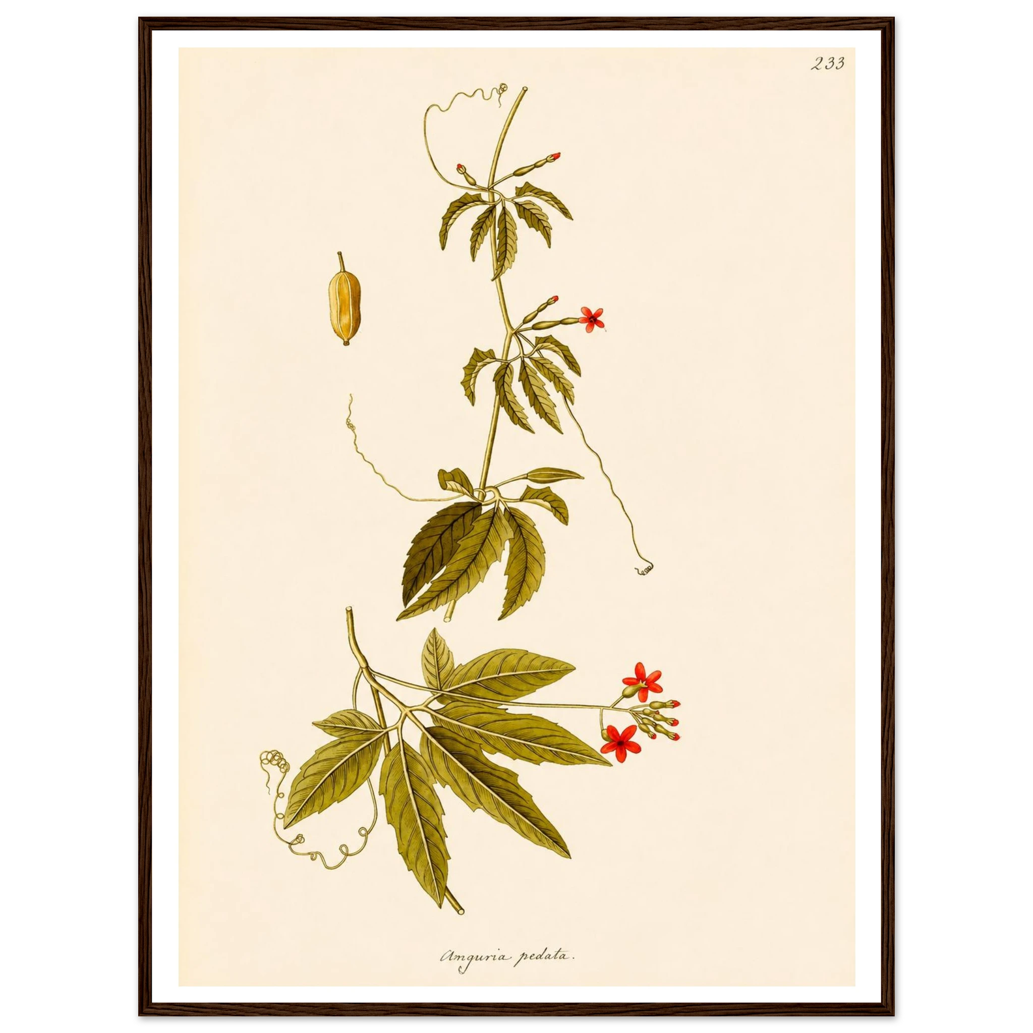 ad76e1b7-fe99-44ee-bd56-c85dd7ba1579