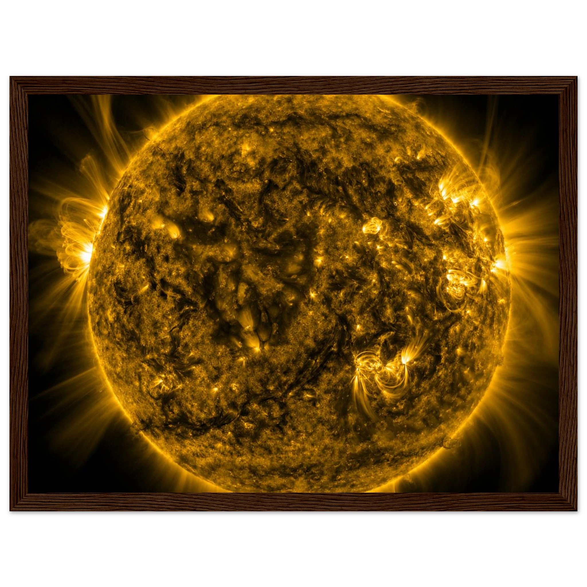 ad832349-18ad-4b6b-a48c-cce0495daccd
