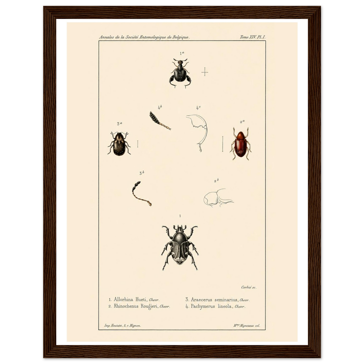 ae41bff6-9f32-450b-aa2e-b6d8150f6b5a
