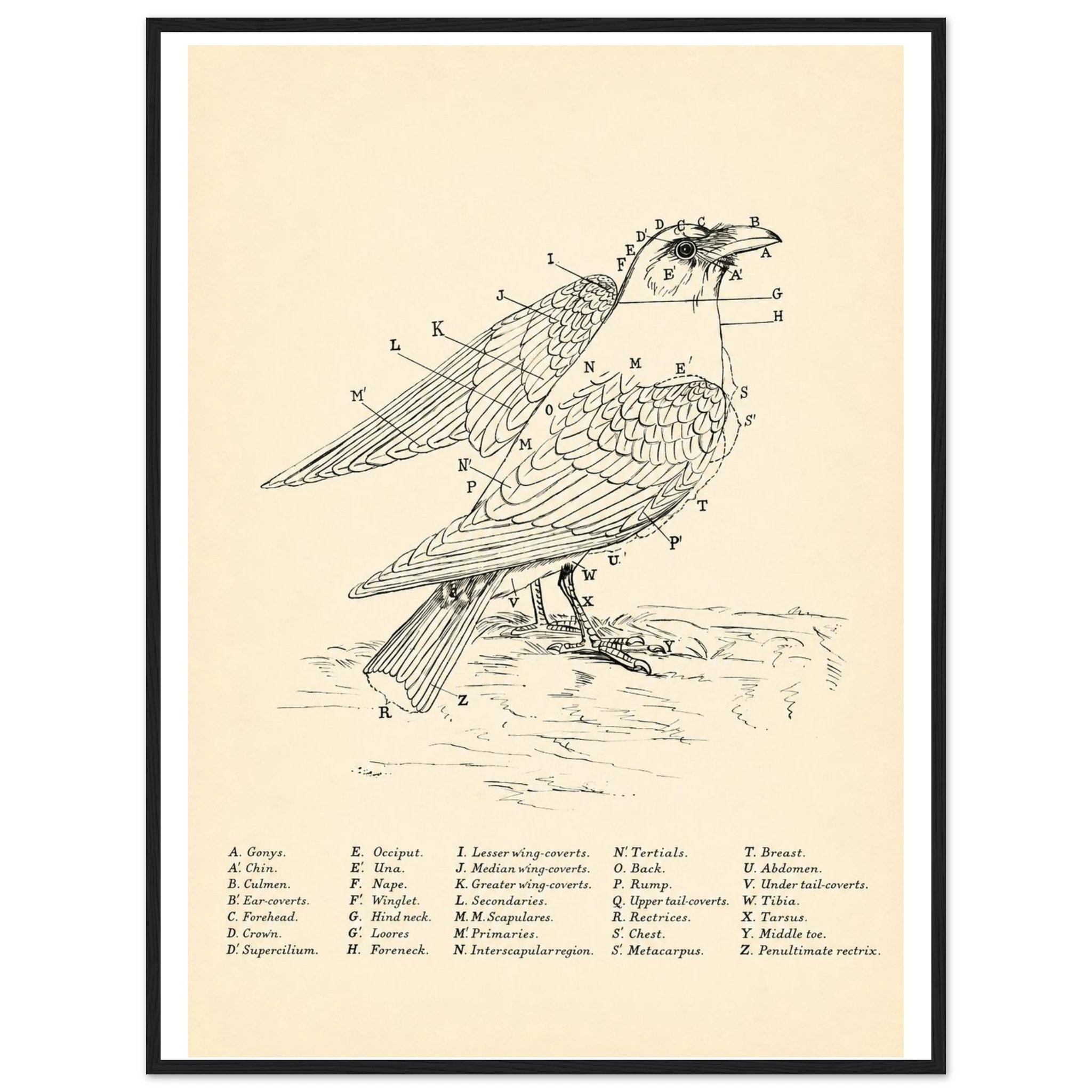 aef1fd7a-f9cc-4ef4-a555-131c87ad648e