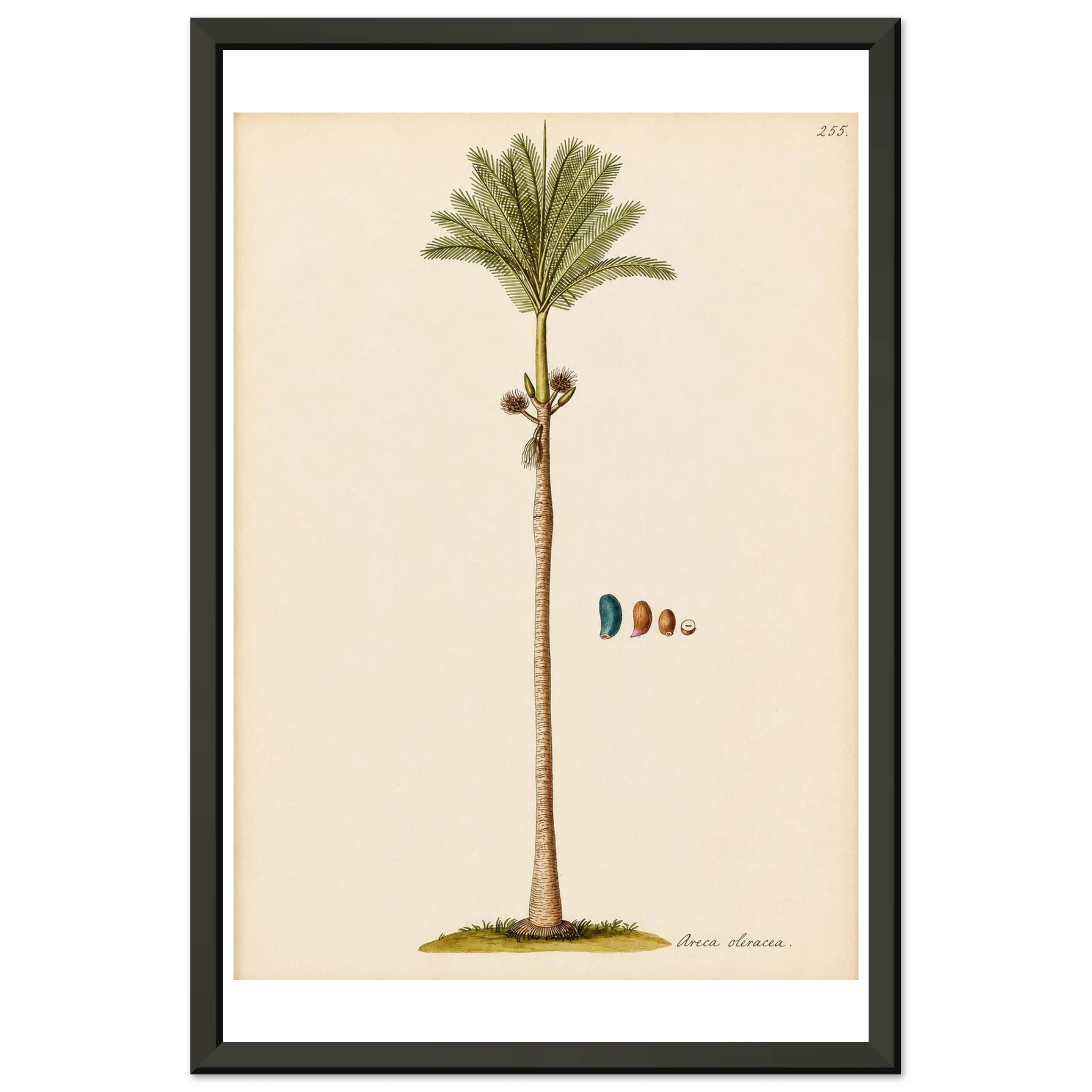 af02685c-b6ca-44c4-908b-7f6901e008d1
