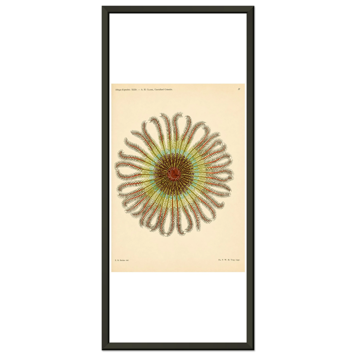 af99f6d6-e890-4a5d-a1e8-5b38ea67450d