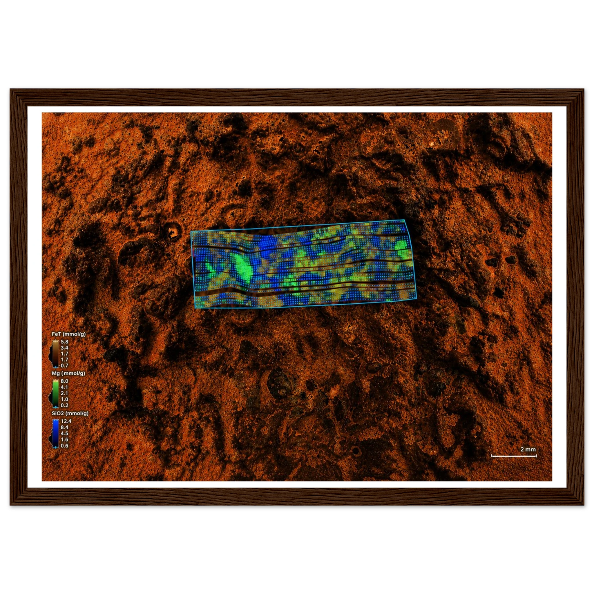 aff41807-00e5-4dfb-8a67-3cd15e4d8ff3