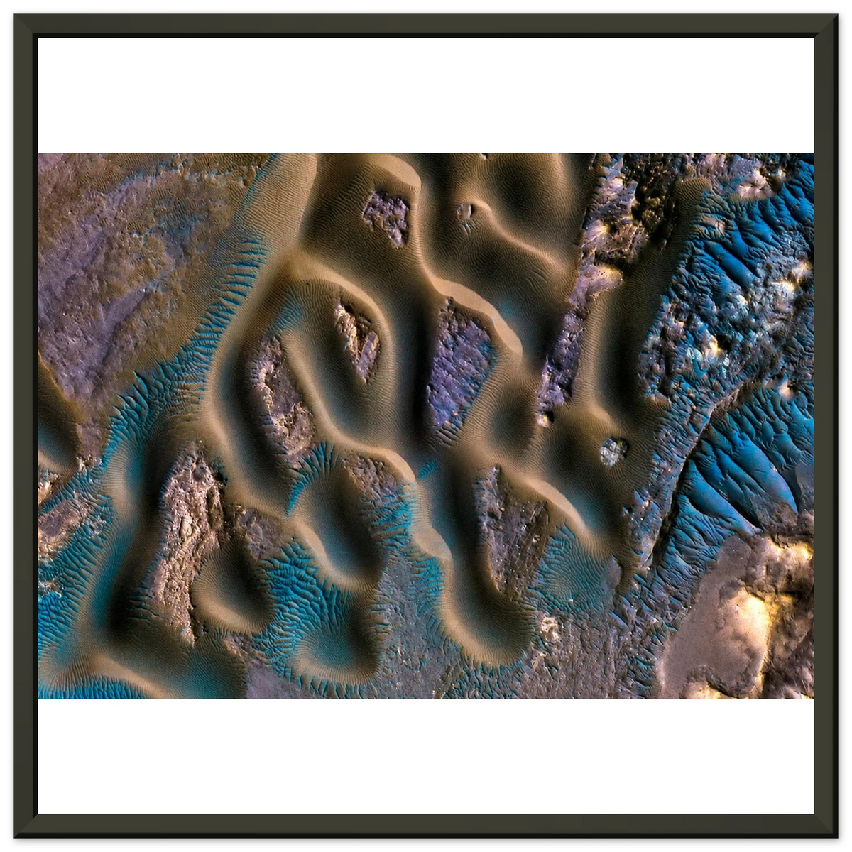 b09e1013-c1ec-4ad6-8d85-40b7b4191e56