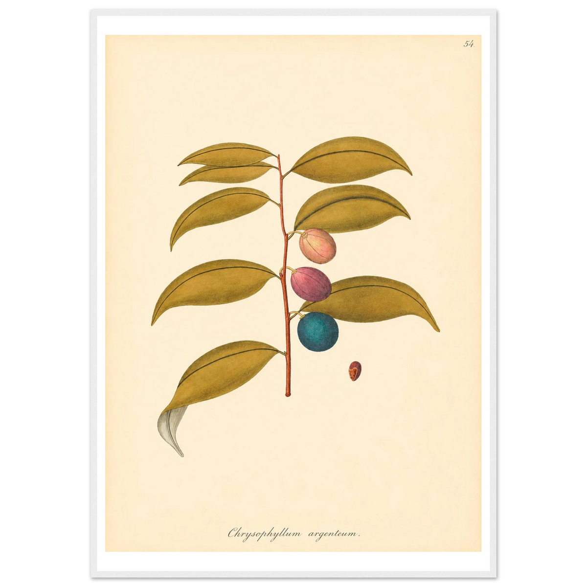 b2162aee-5356-41fa-95be-6858ccde8da5
