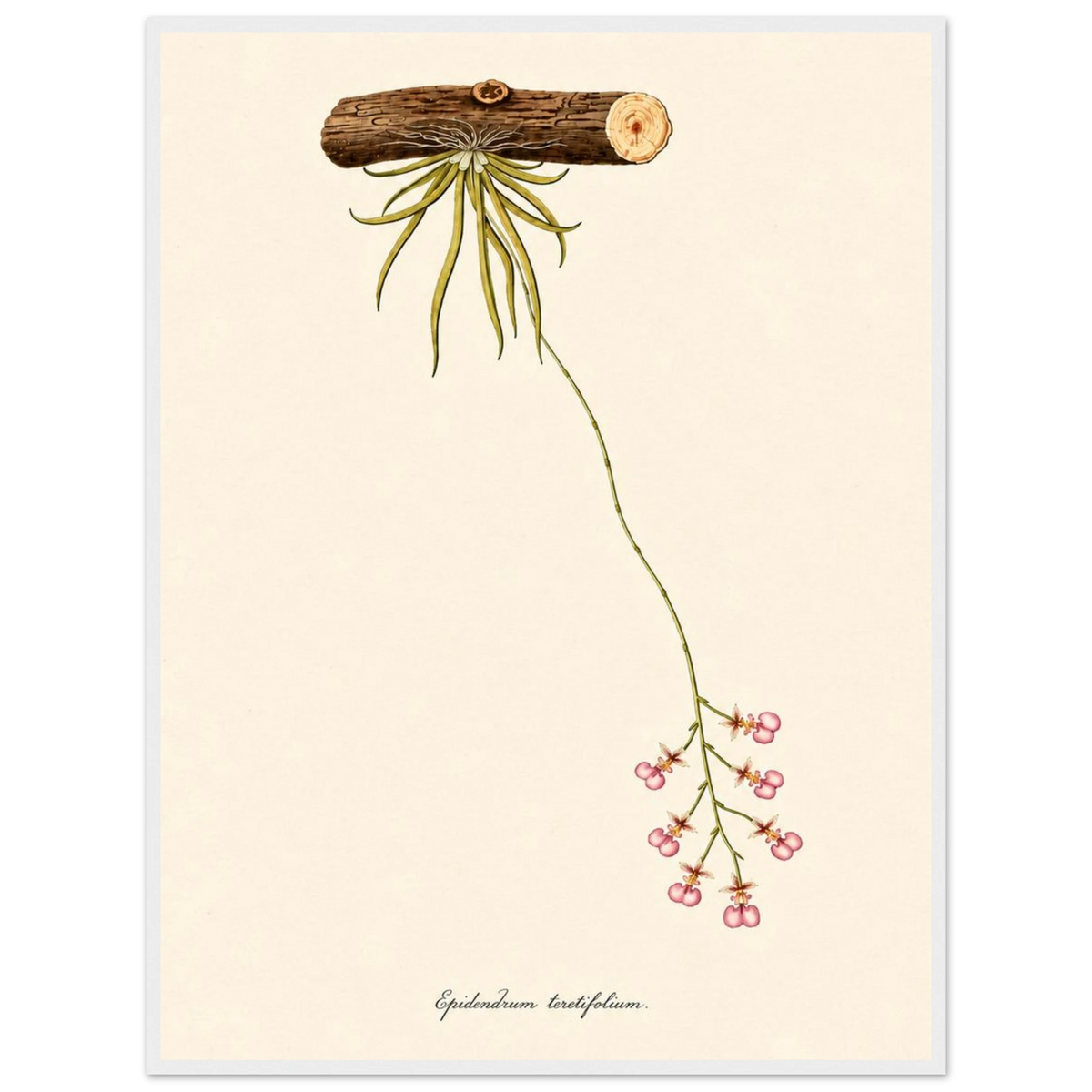 b33e27ef-0624-41c3-8b03-ec4649b810a6