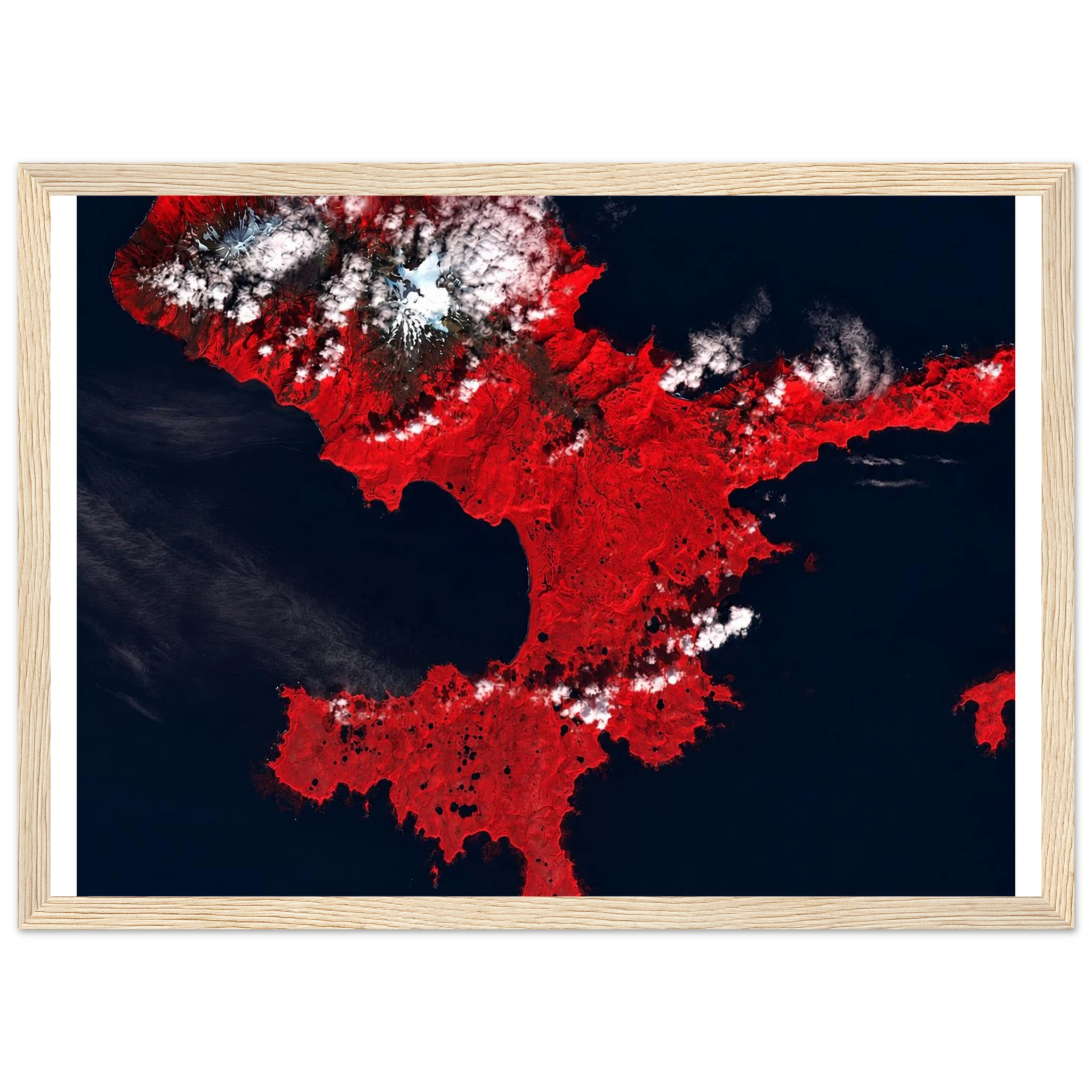 b3607561-988f-47c4-beff-de69d47d378b