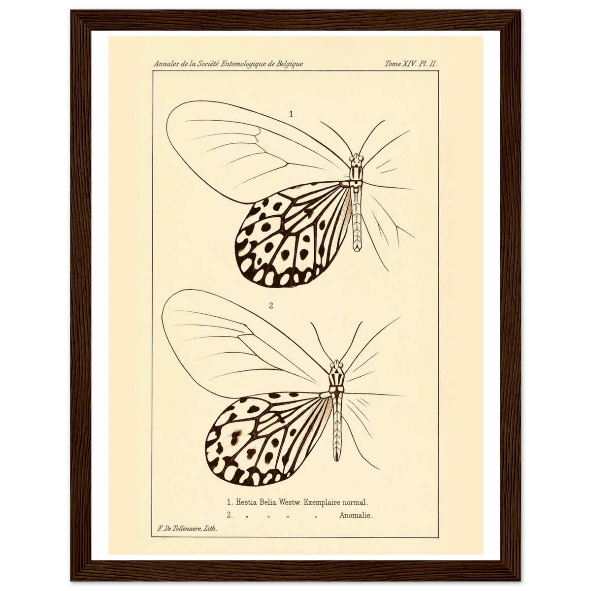 b3e46723-fc3c-422d-b49b-d89aefa2e3c3