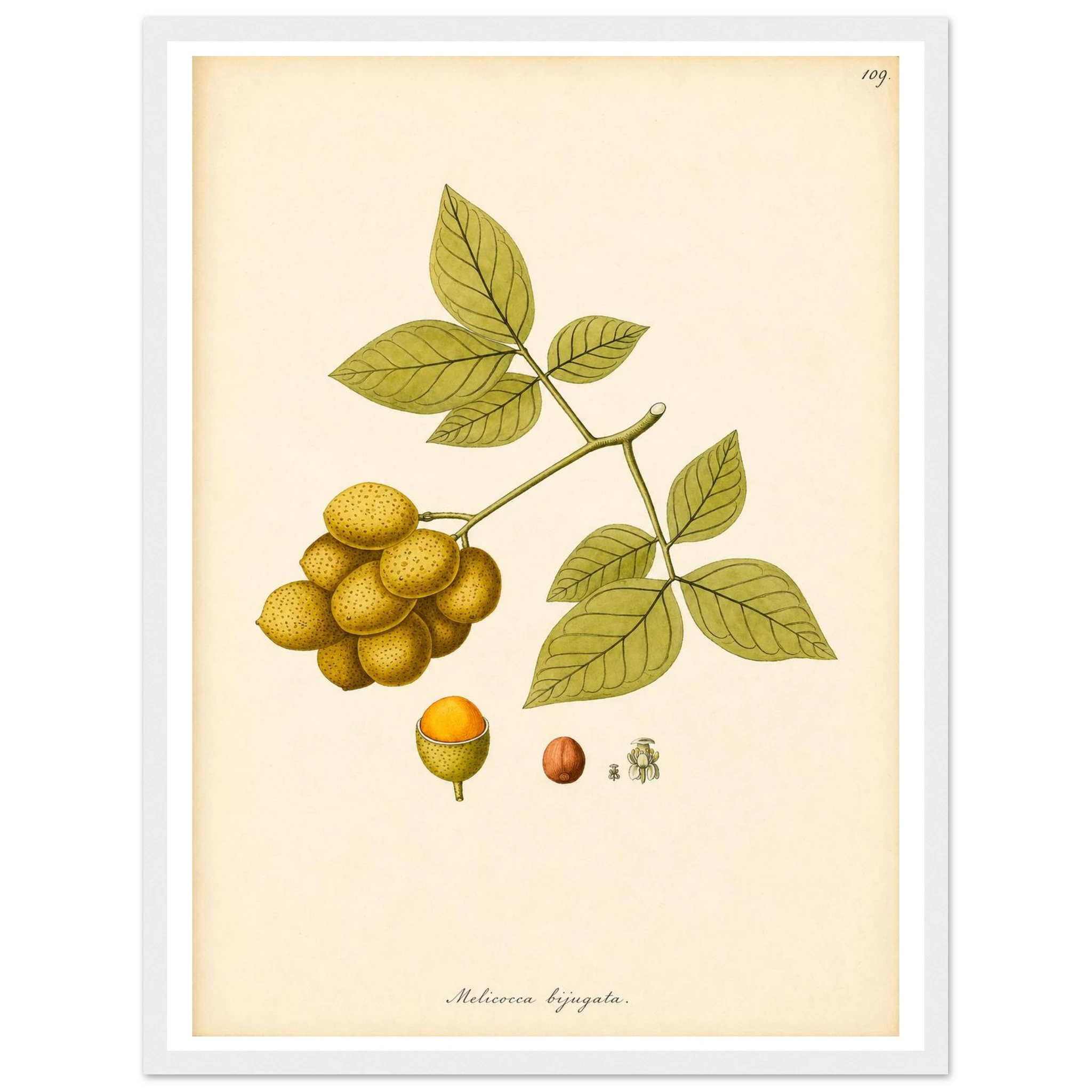 b409a367-754b-40e8-9167-84d55043325d