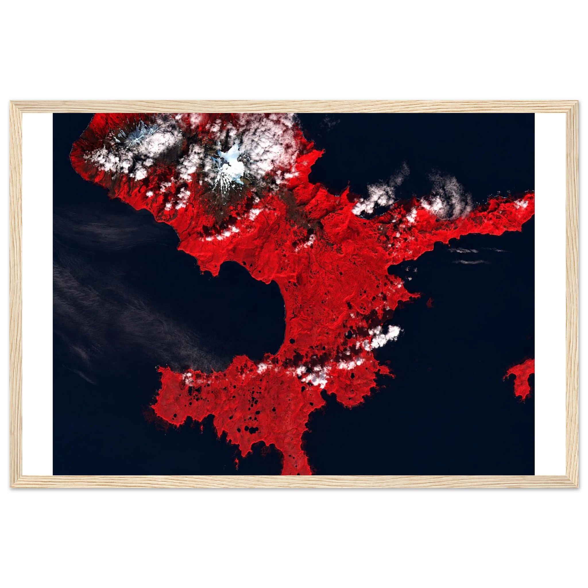 b443a28c-fe4a-4759-915d-2b8d47830b16