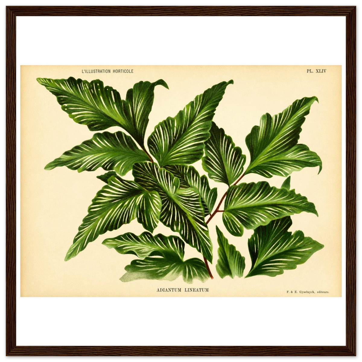 b4950774-cad6-4c0f-b14c-aca4ac77d6c9