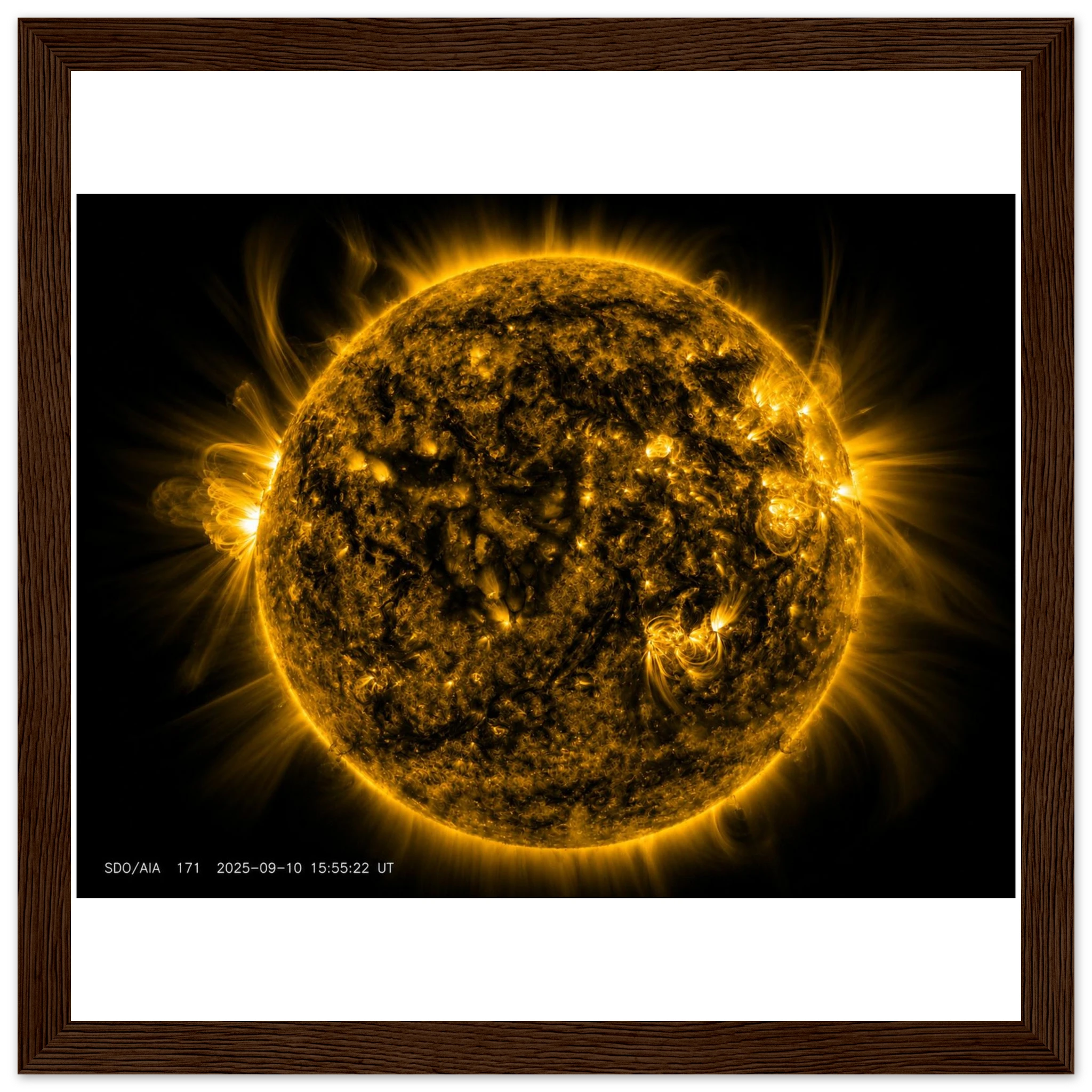 b49cf2ba-77fc-4097-847a-76f8c9f3586d