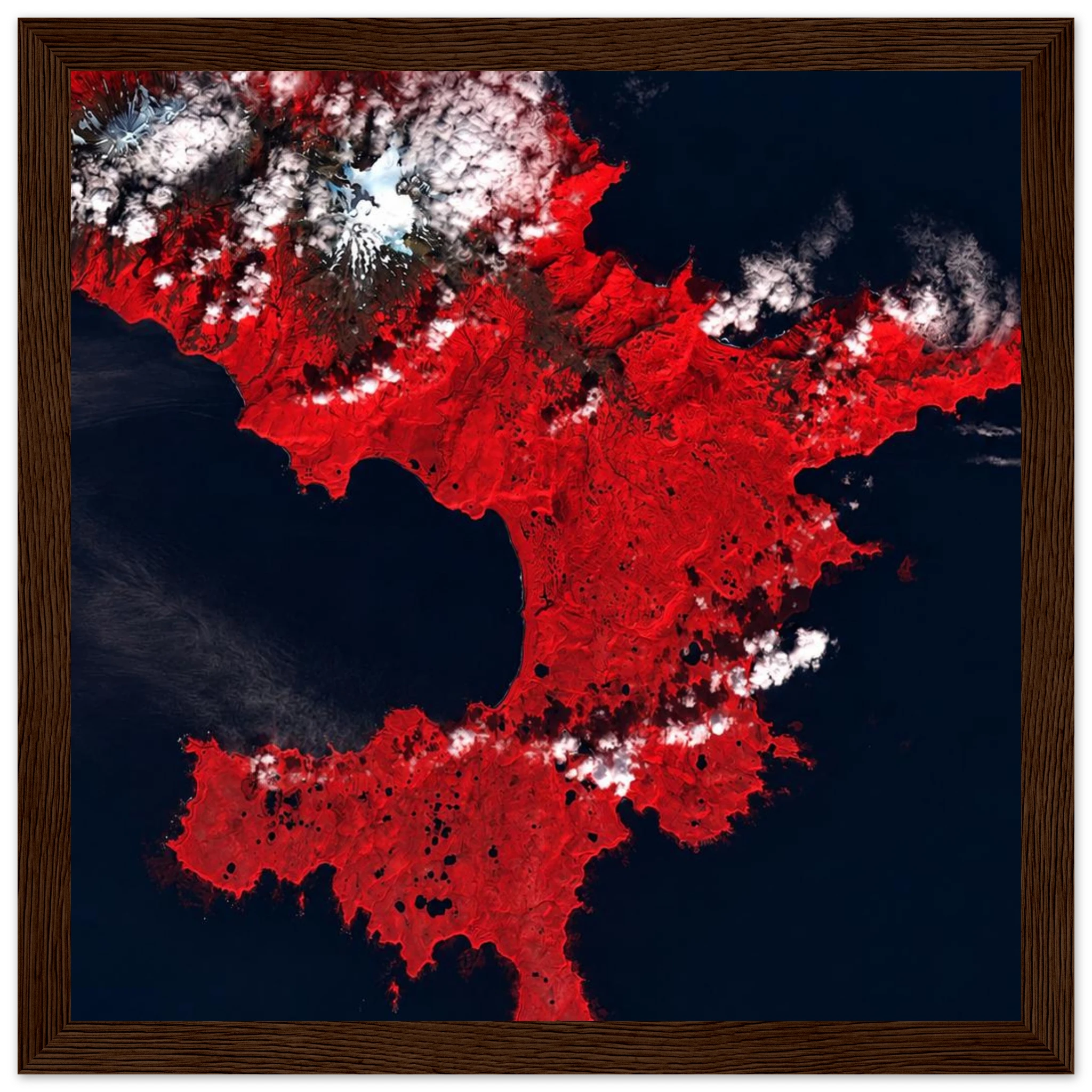 b6347073-ec2e-4ca3-9127-c05c38c0ab5b