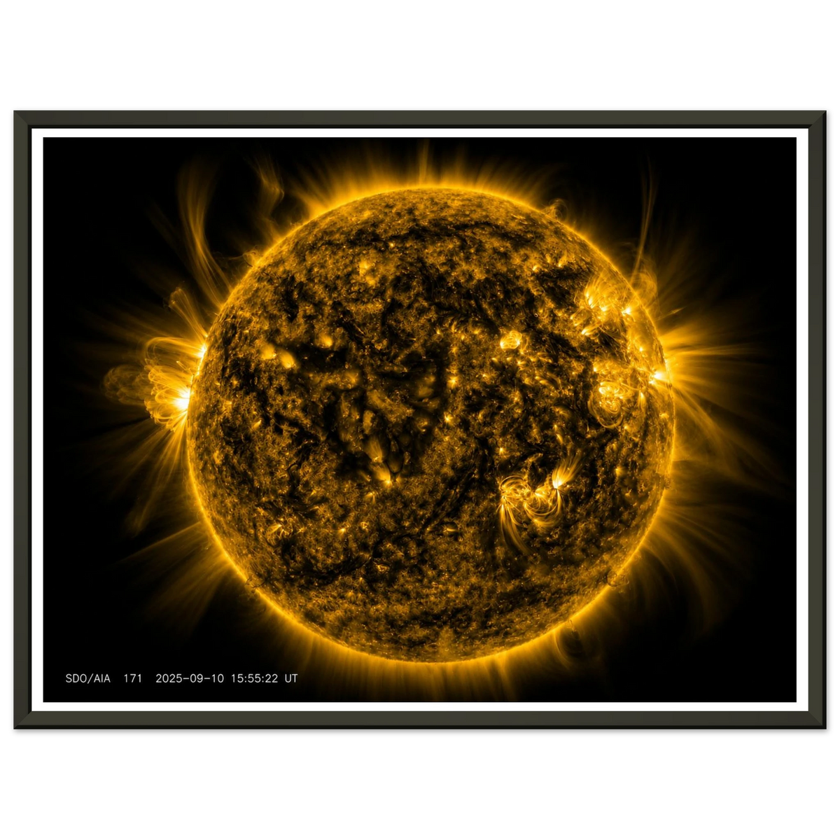 b65bb3be-8253-4d03-9967-cc3f34242bdd